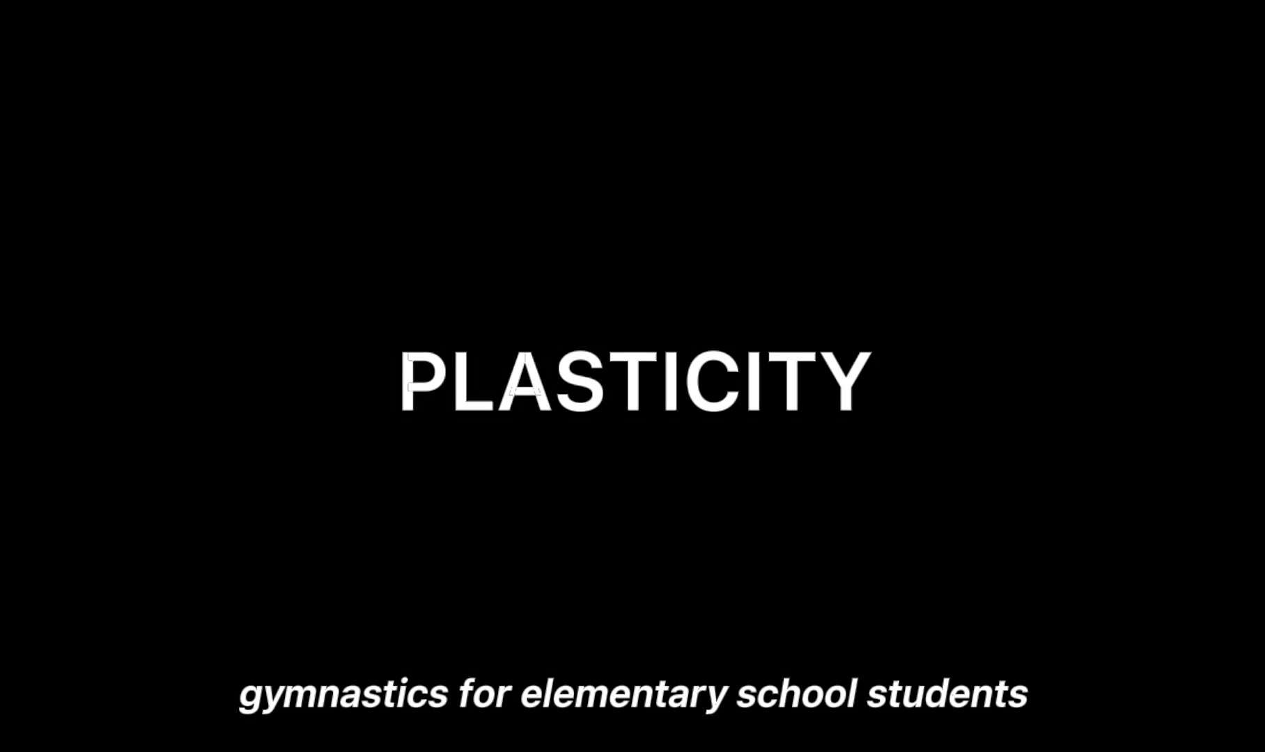 可塑性（Plasticity)