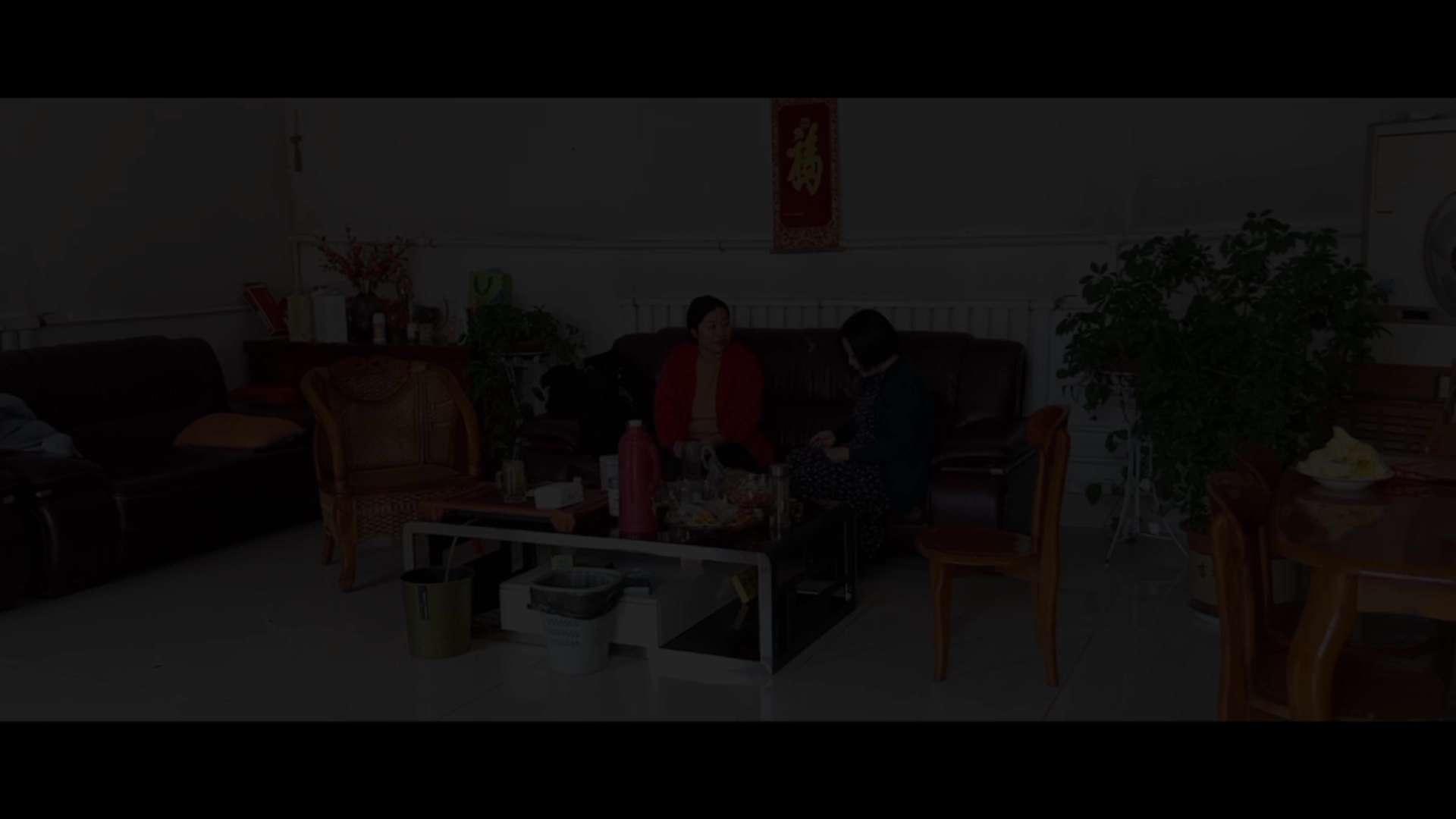 纪录片-【过年】公历2021 辛丑牛年