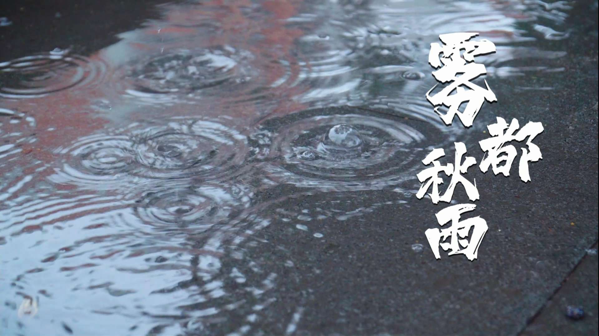 重庆的雨季开始了，城市的气温在一夜之间下降了十几度