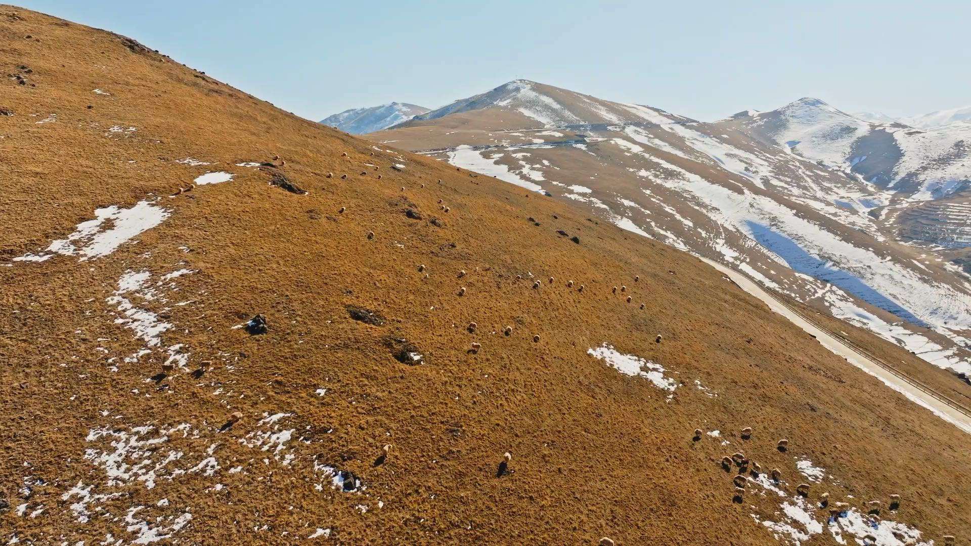 大海草山草地上的牛羊蒙古包航拍，视频素材：画视记官网