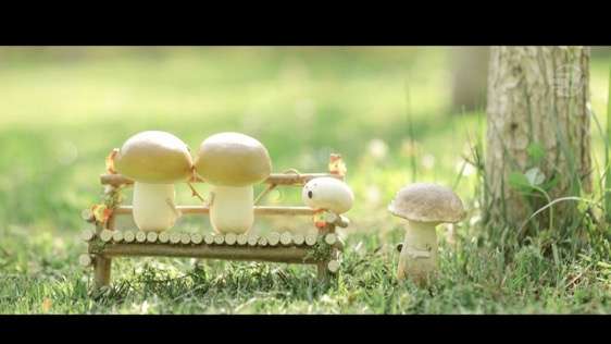 本科定格动画作业——《蘑菇王国》