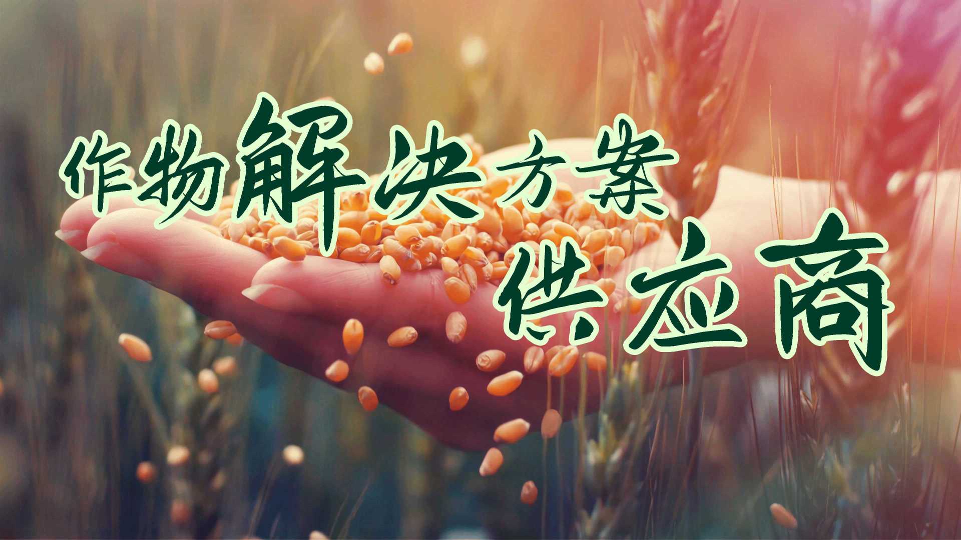 农心科技×光年映画丨农药制剂丨农化产品企业宣传片