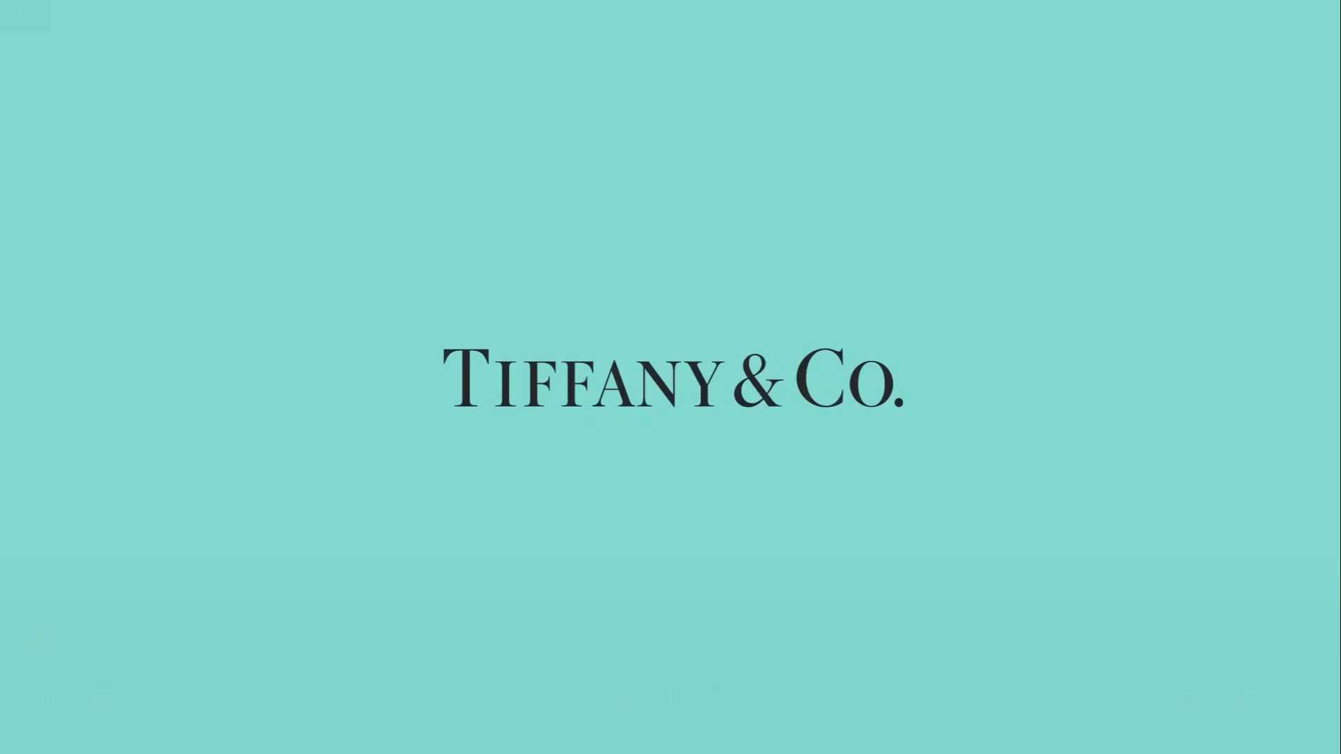 Tiffany & Co.《地标建筑》