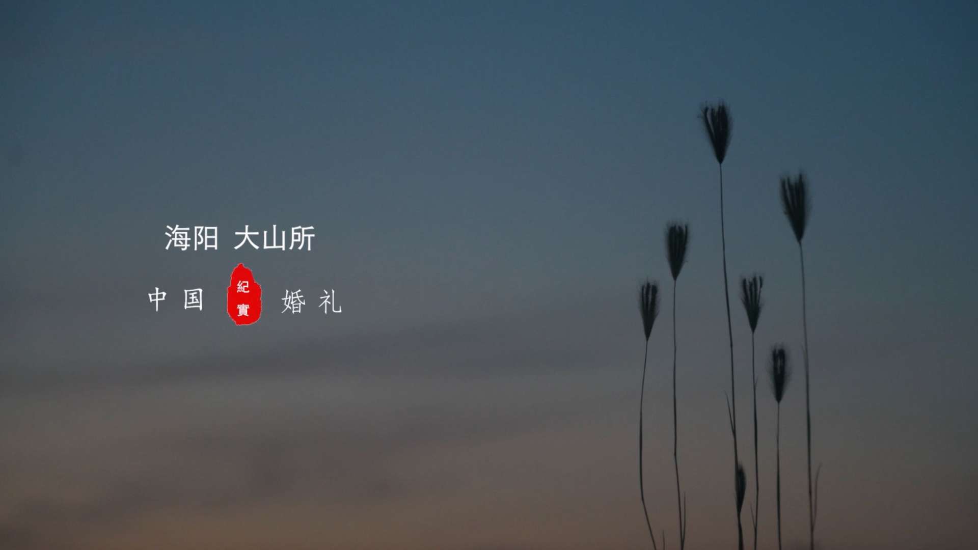 Oct.2th.2023 王群超&范雨晴纪实婚礼预告｜尚禧婚纱｜青橙映像｜