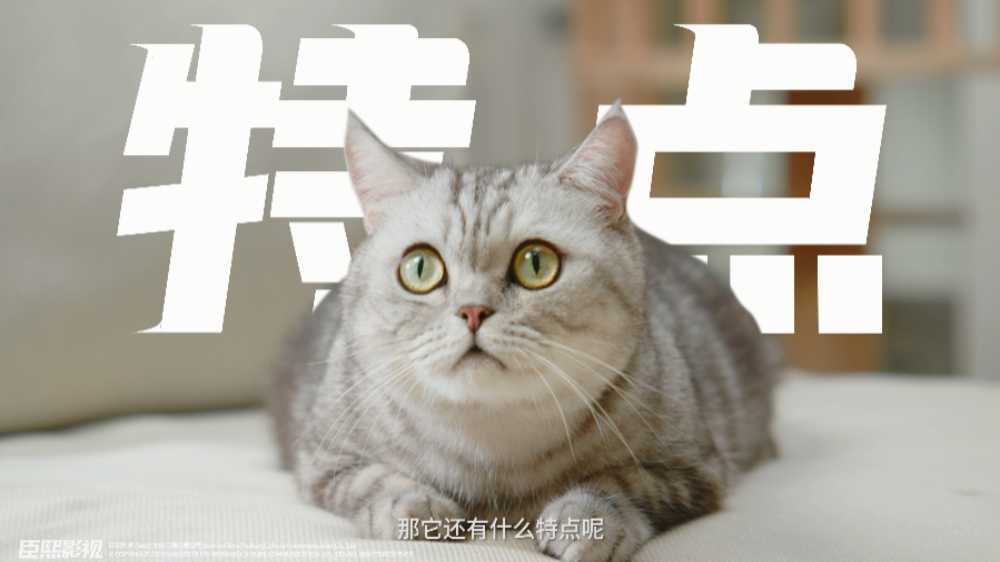 产品宣传《魔铲智能猫砂盆》