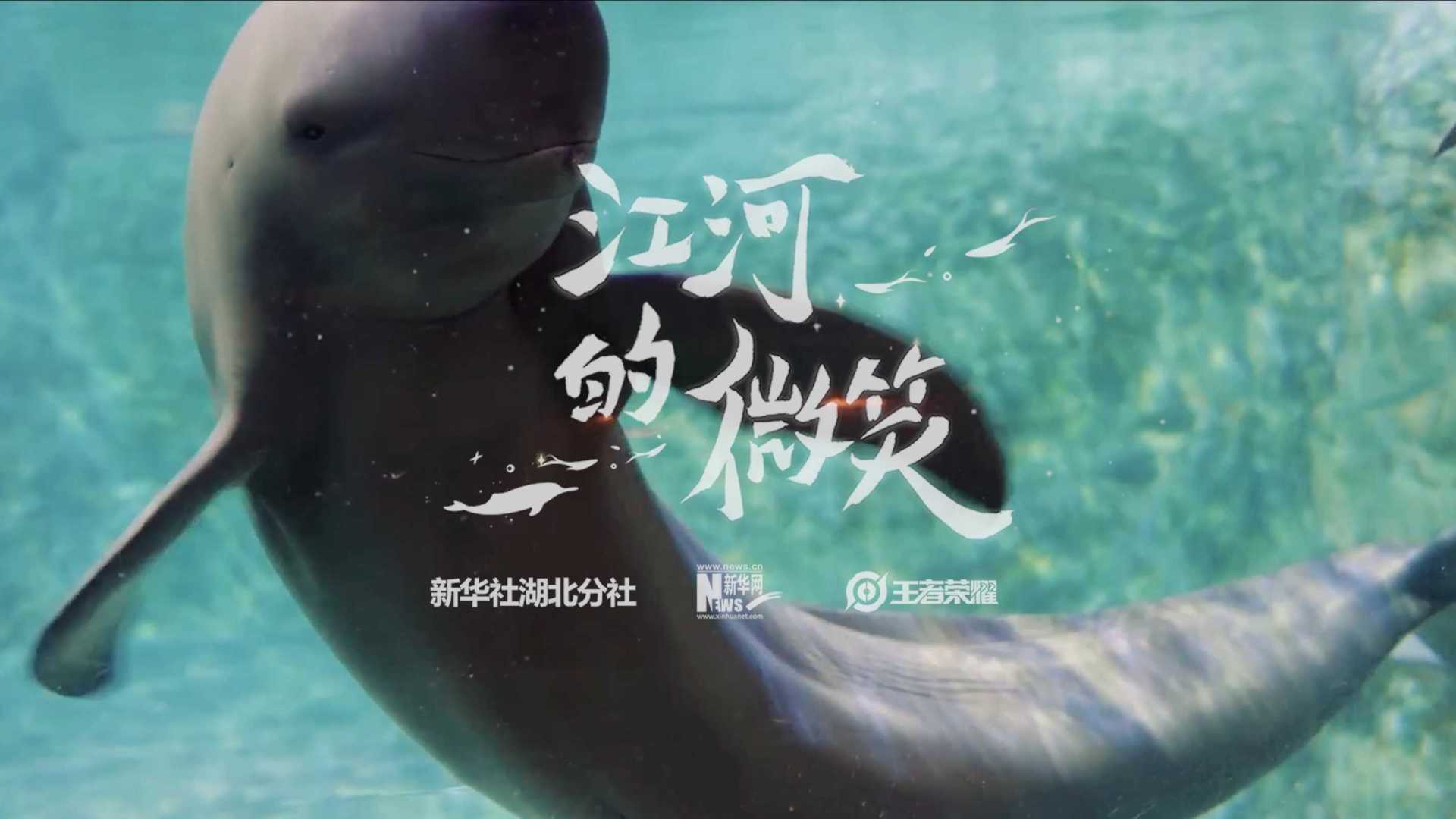 新华社&王者荣耀 8周年公益纪录片《江河的微笑》