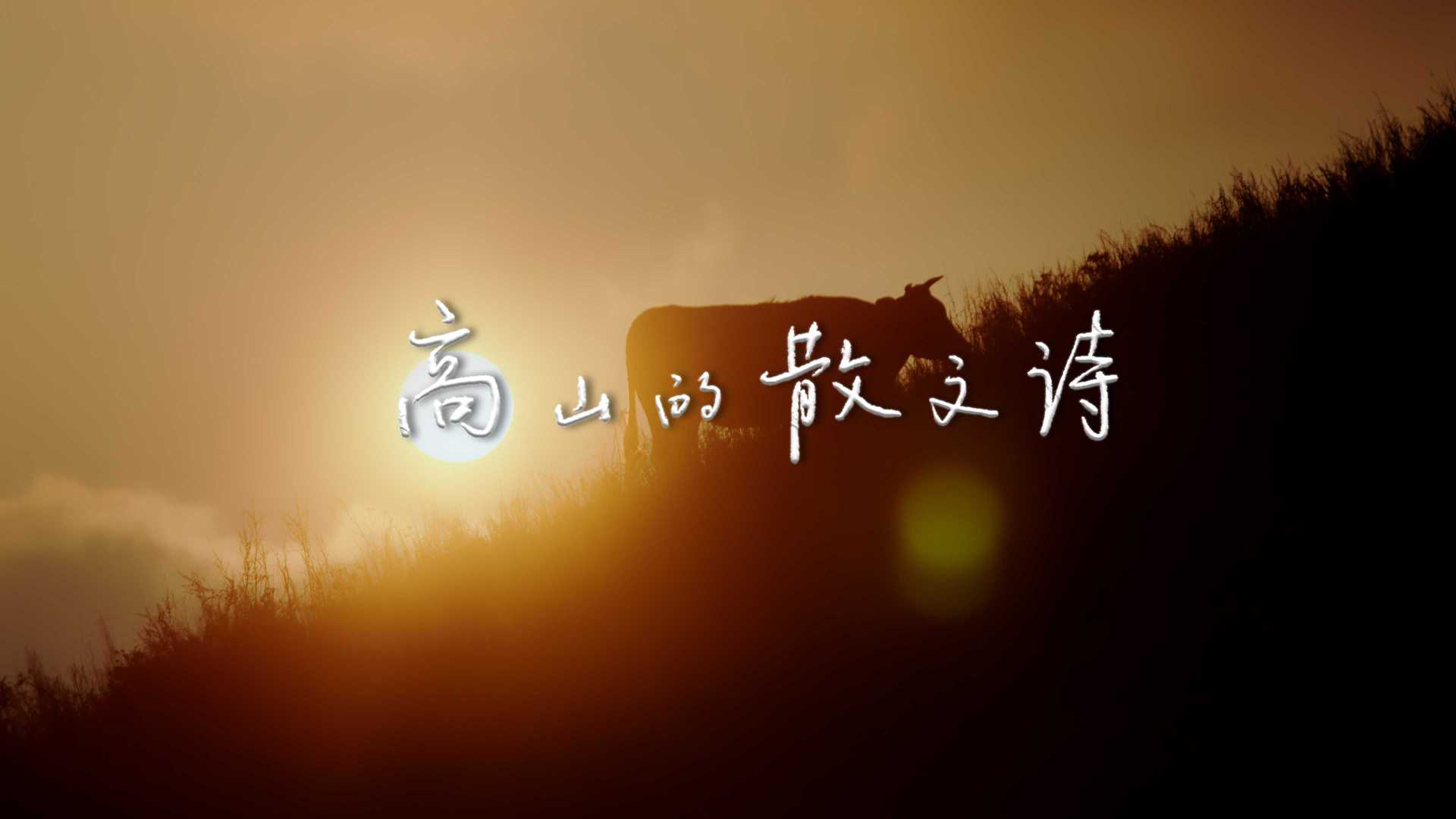 《高山的散文诗》| 明康汇·湖北长阳山蔬品牌片