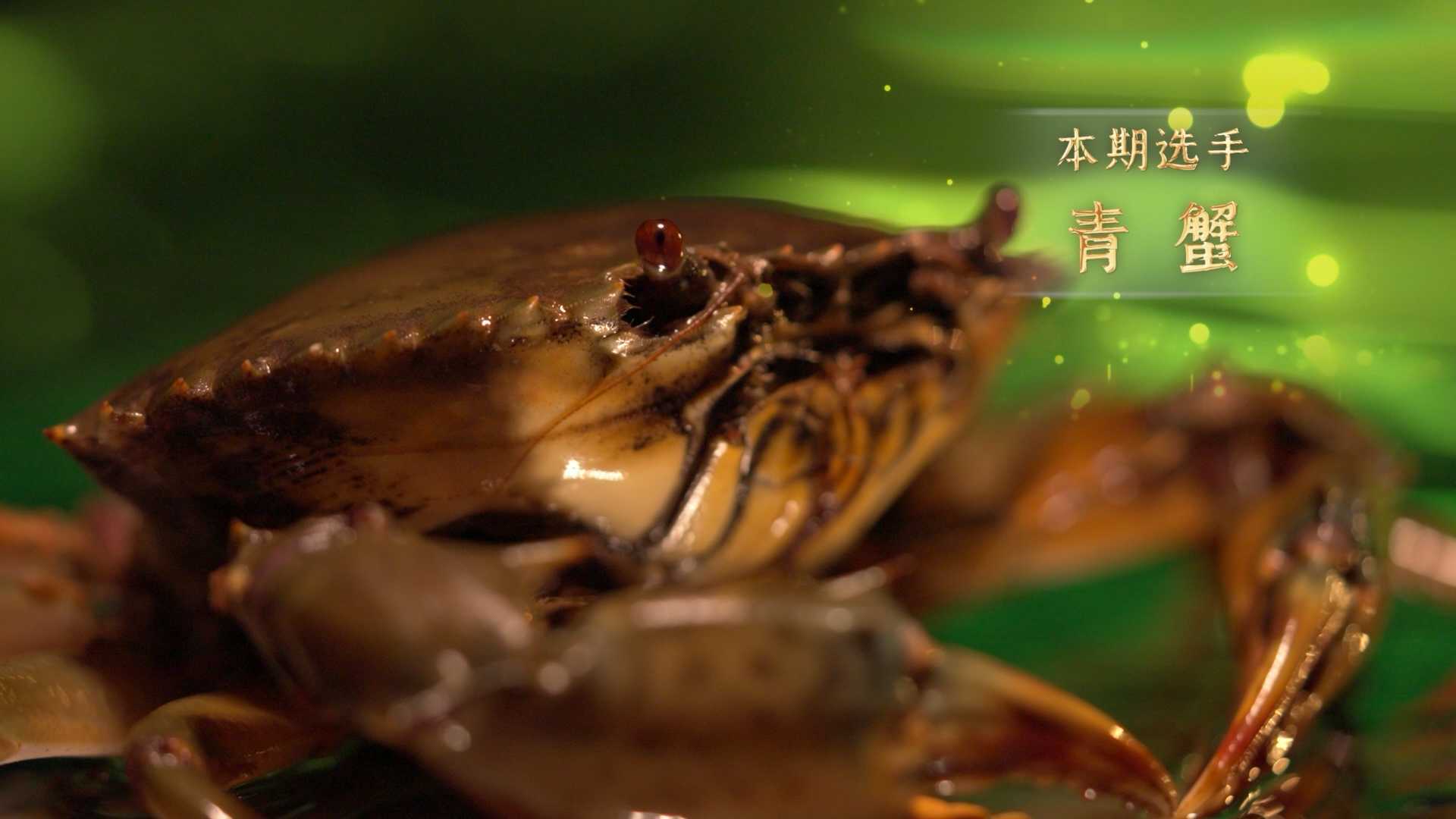 电视系列片《八“鲜”过海》之“青蟹”
