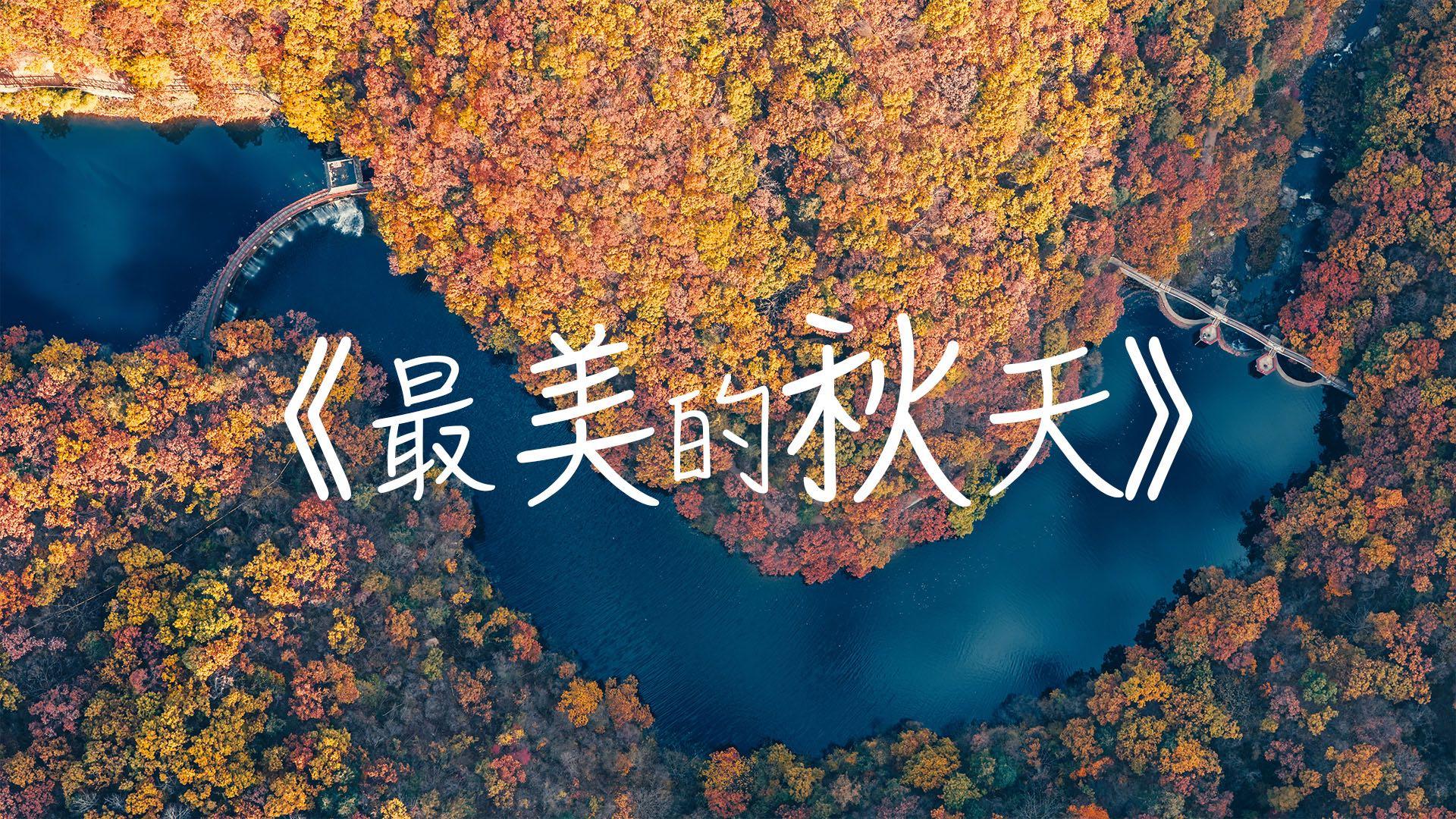 4K【你好远方|最美的秋天】带你看河南秋景的天花板|洛阳白云山童话般的秋天
