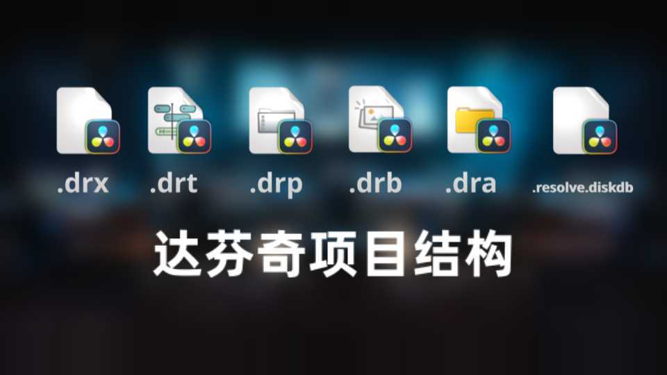 彻底搞懂达芬奇的项目文件结构(drt、drp、dra、drx、drb、diskd