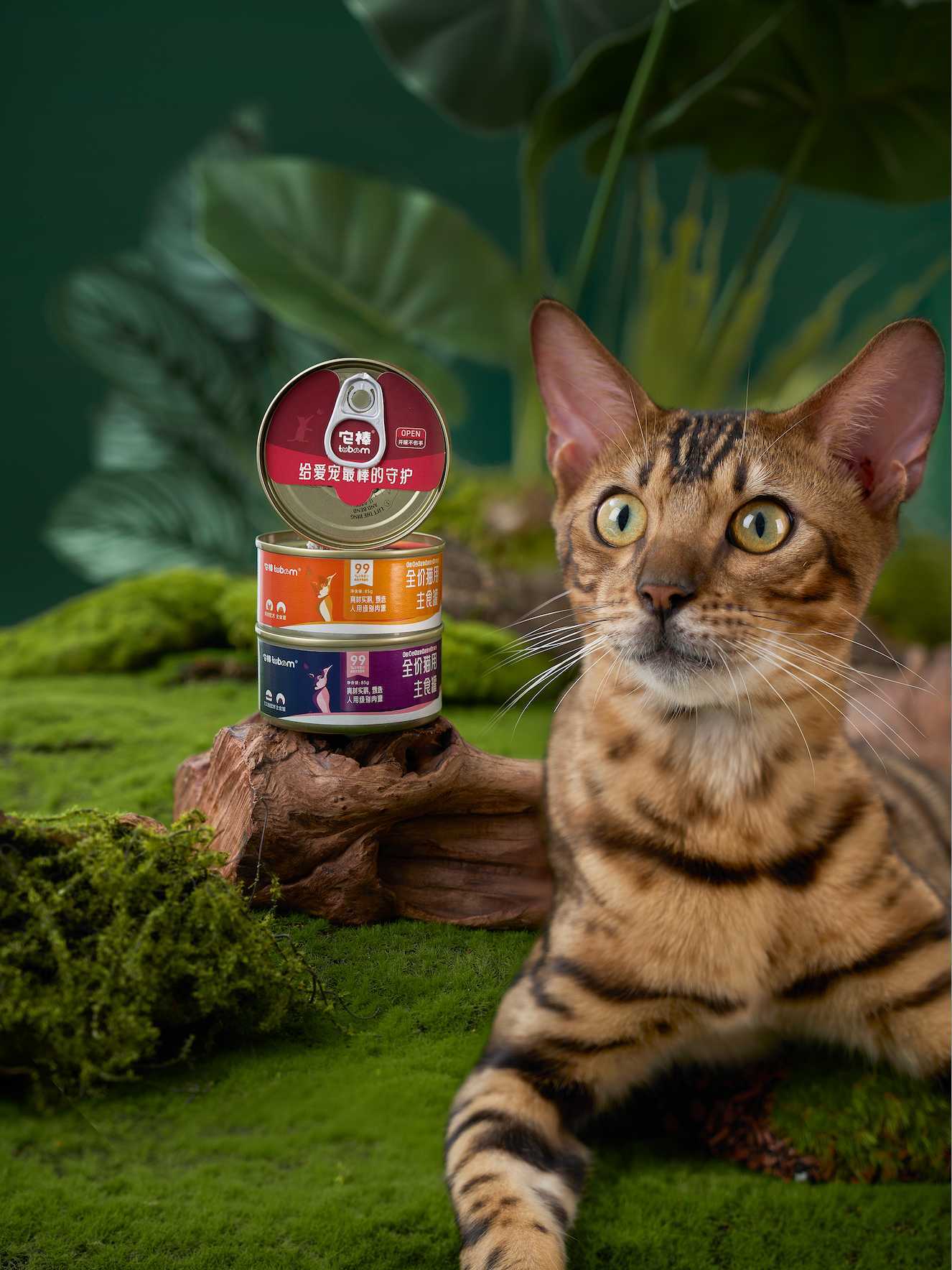 猫咪主食罐头｜产品主图视频