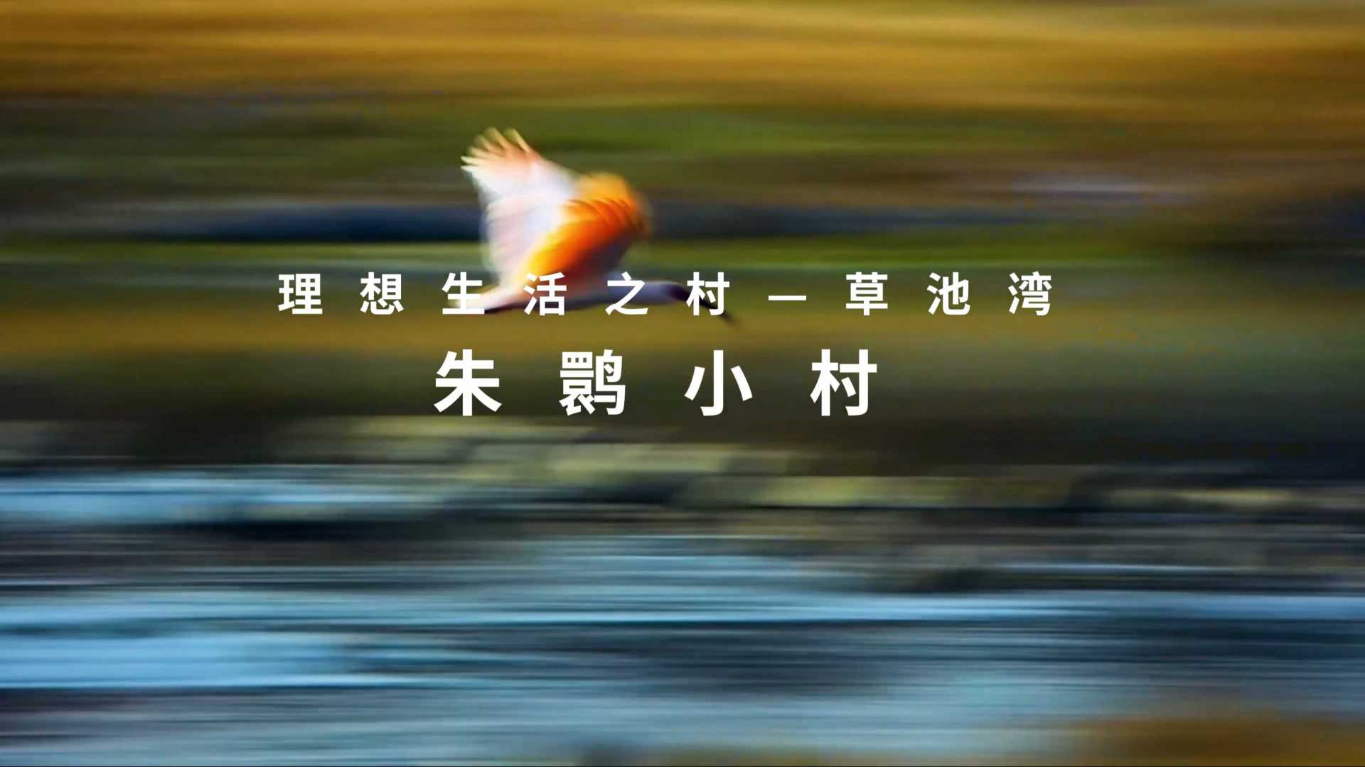 理想生活之村-草池湾（朱鹮小村）导演剪辑版