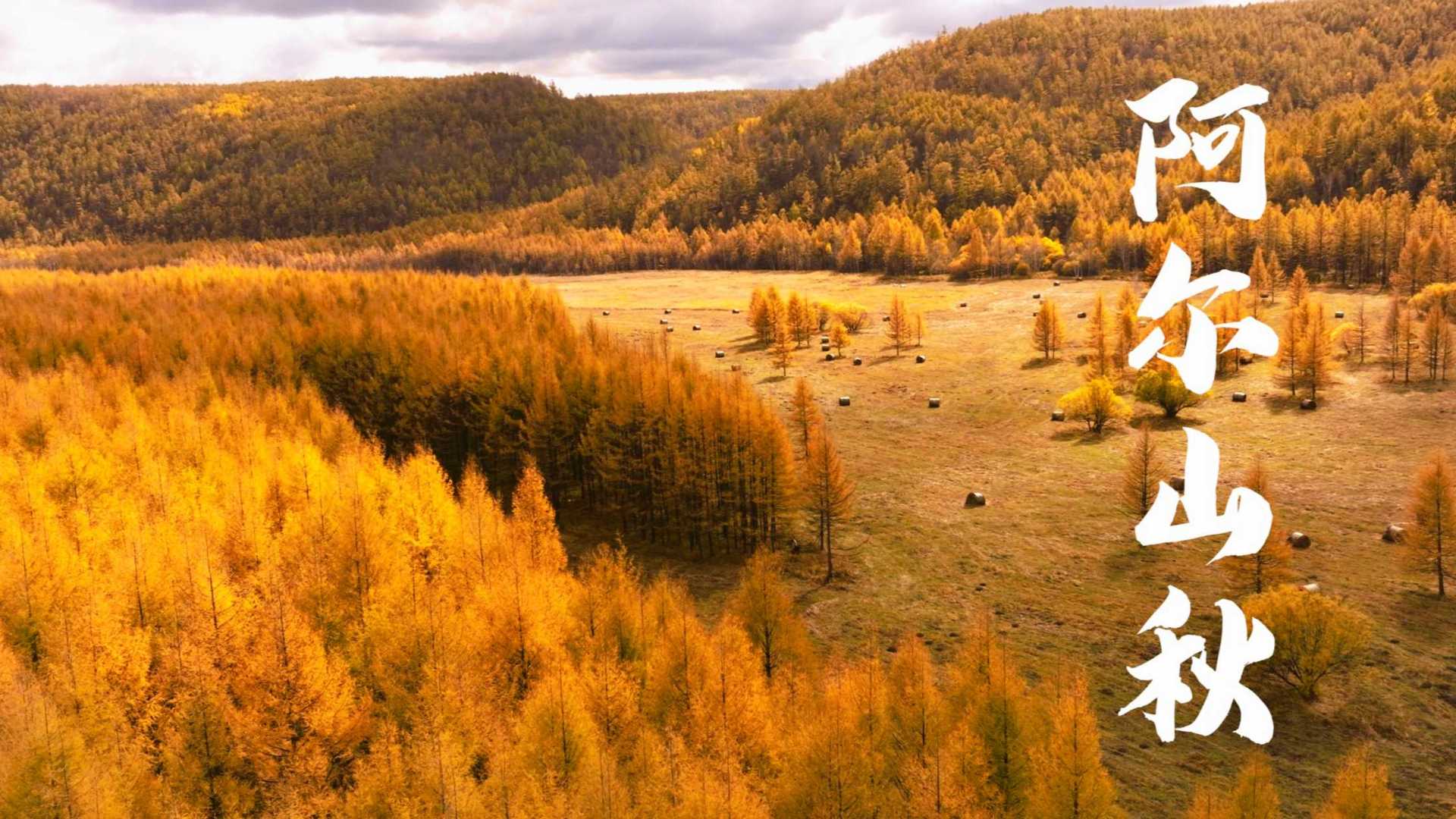 阿尔山秋-内蒙古兴安盟阿尔山的秋天