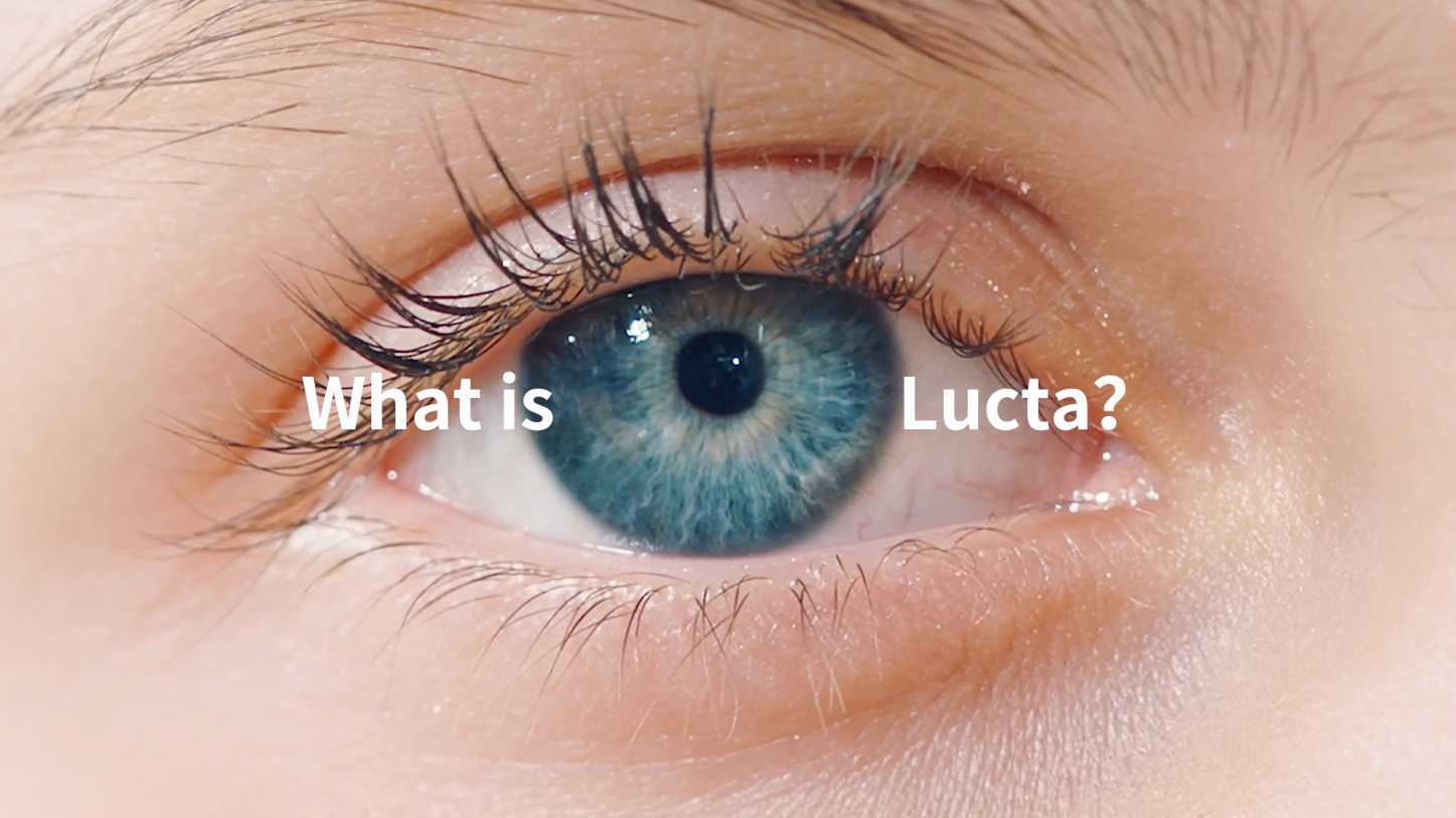 what is Lucta? 乐达集团-宣传片