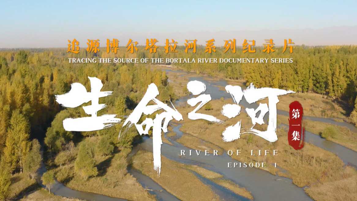 博尔塔拉河系列纪录片 | 生命之河