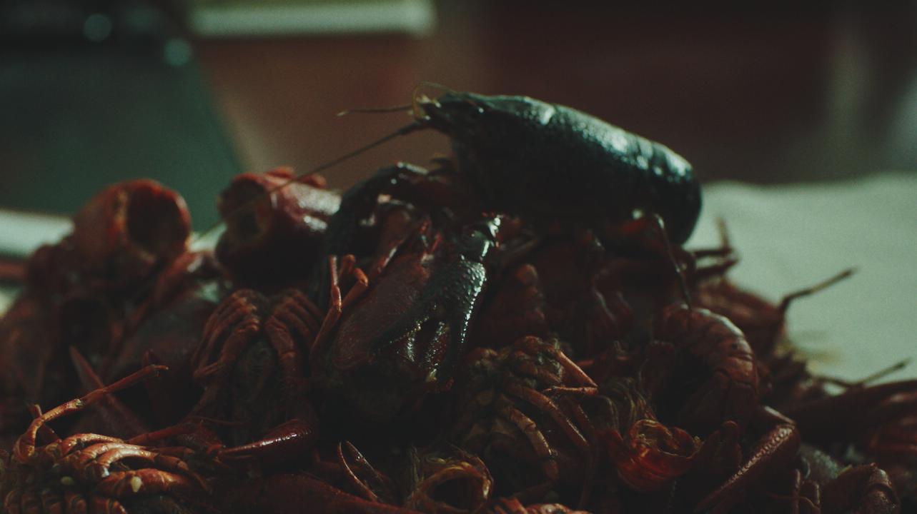 《Crayfish Feast》短片
