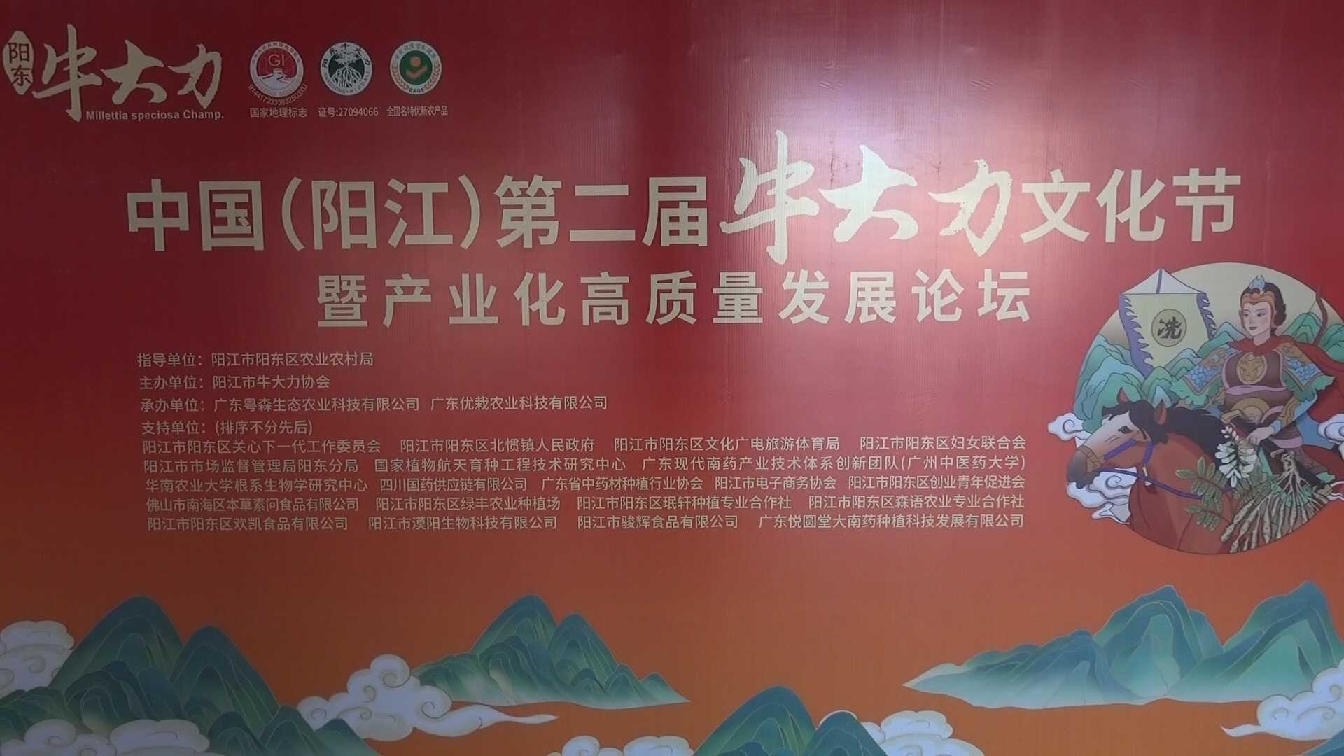 中国（阳江）第二届牛大力文化节