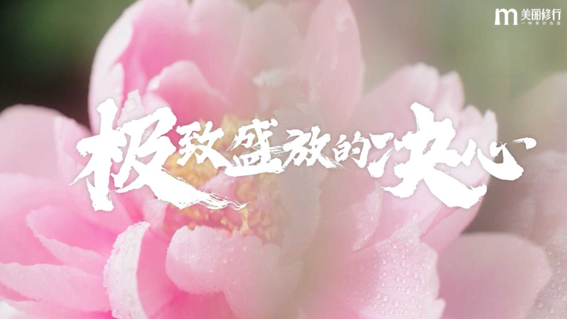 第三季中国成分——花皙蔻篇