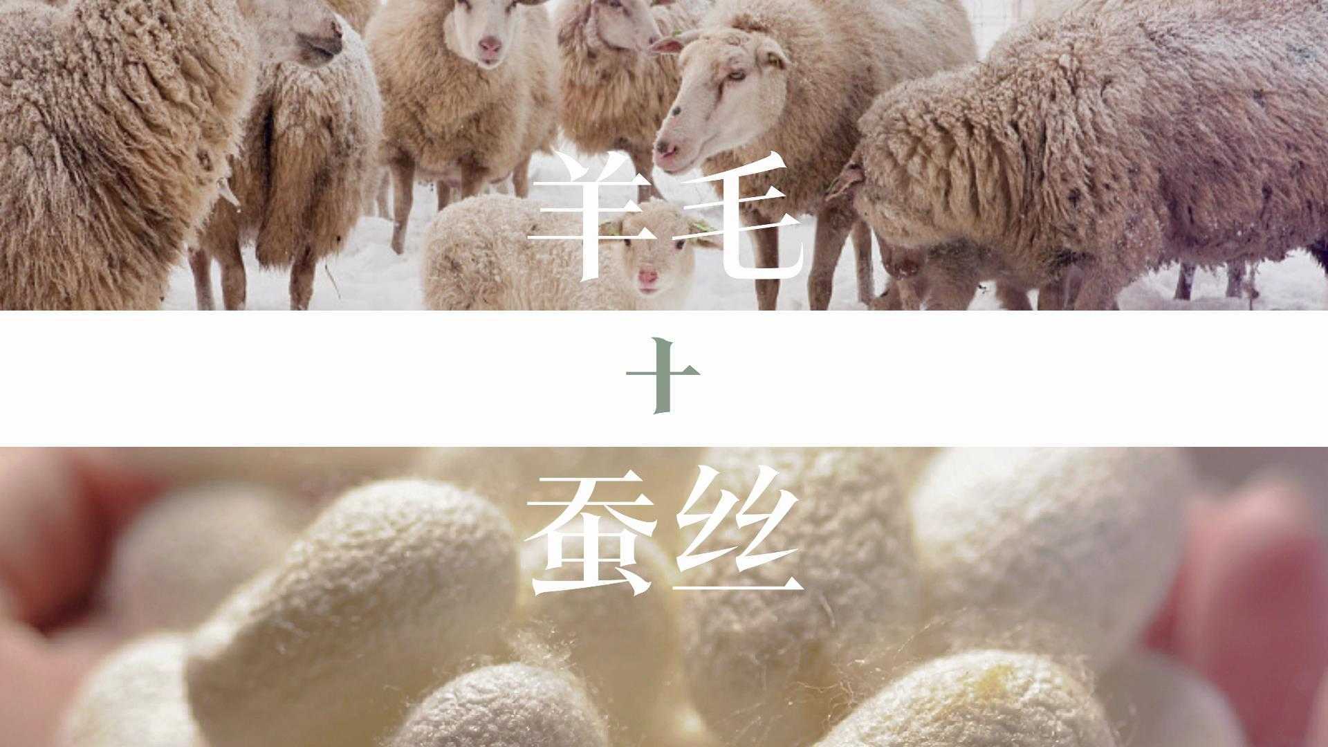 保暖内衣 | 慕羊 羊蚕必暖系列 广告