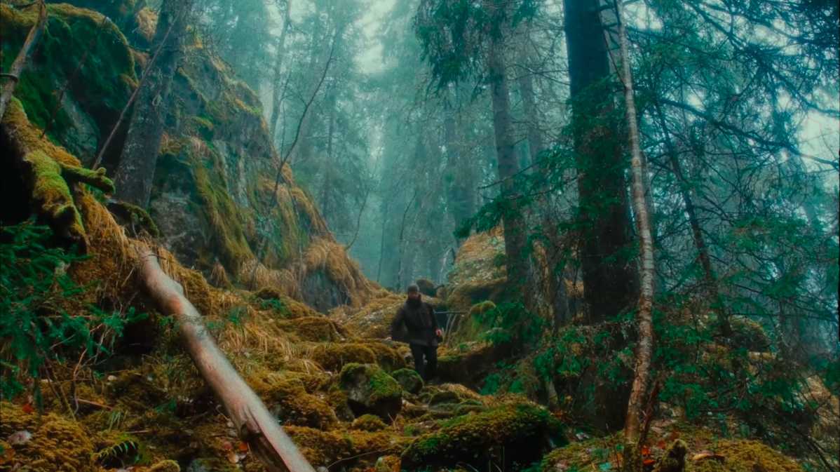 富士XH2s-电影仿真｜在晚秋的雨雾中漫步于瑞典森林