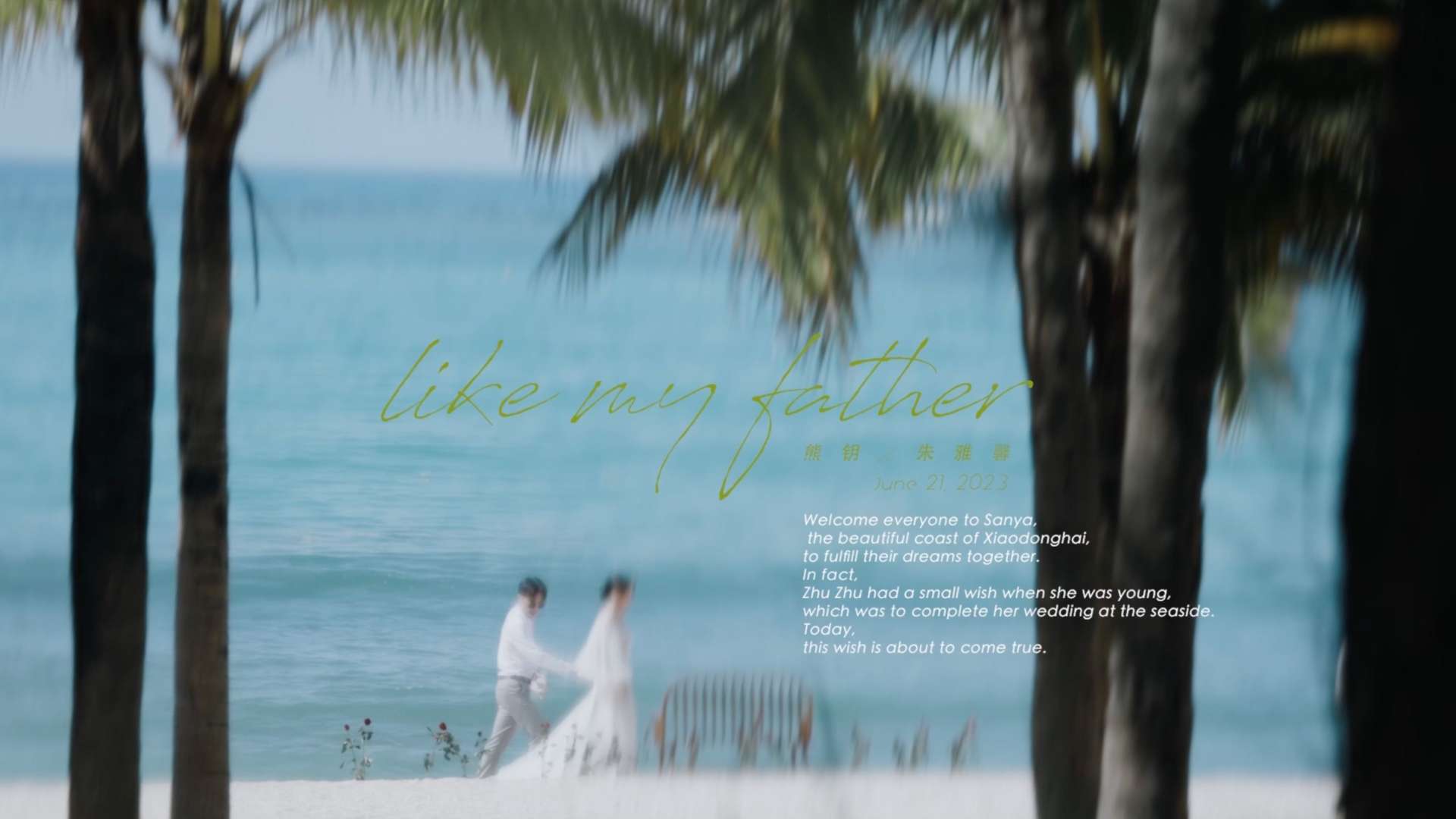 创始人定制档——三亚半山半岛洲际酒店海滩婚礼