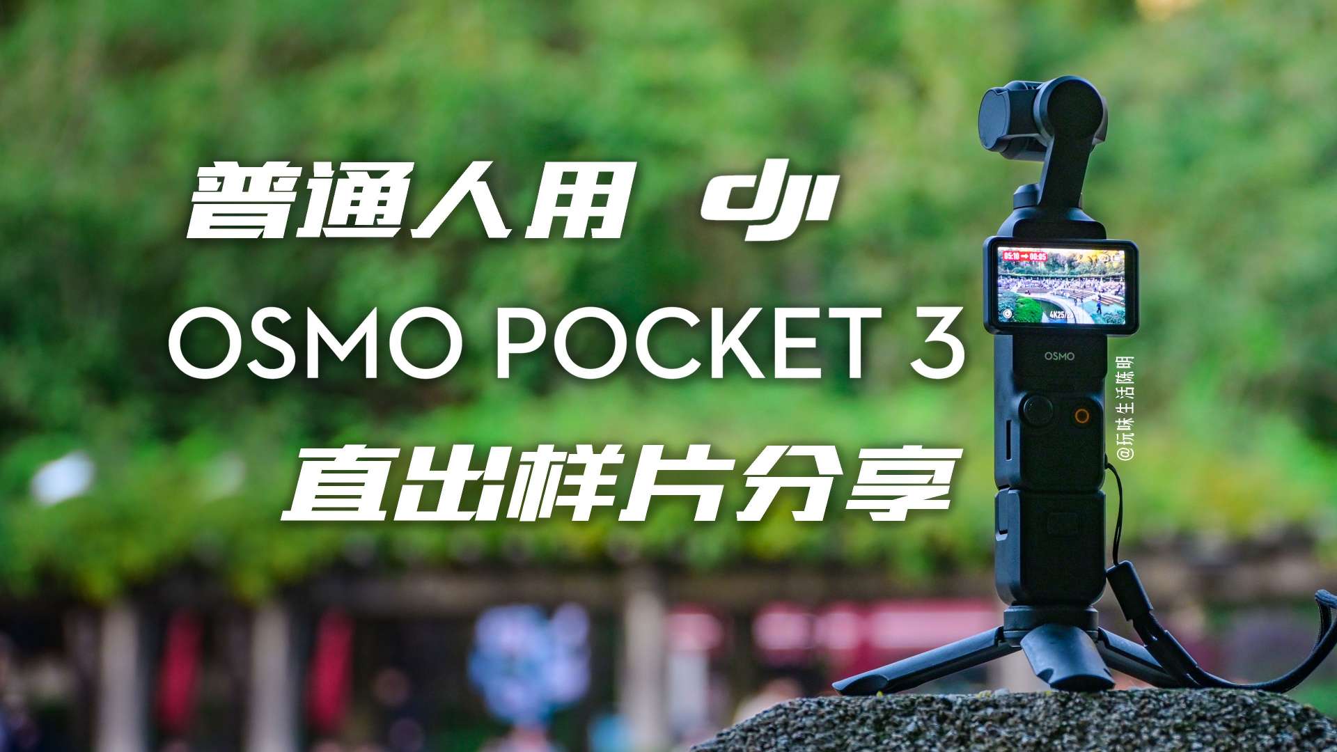 普通人用POCKET3直出能拍到啥｜大疆Pocket3的4K素材分享