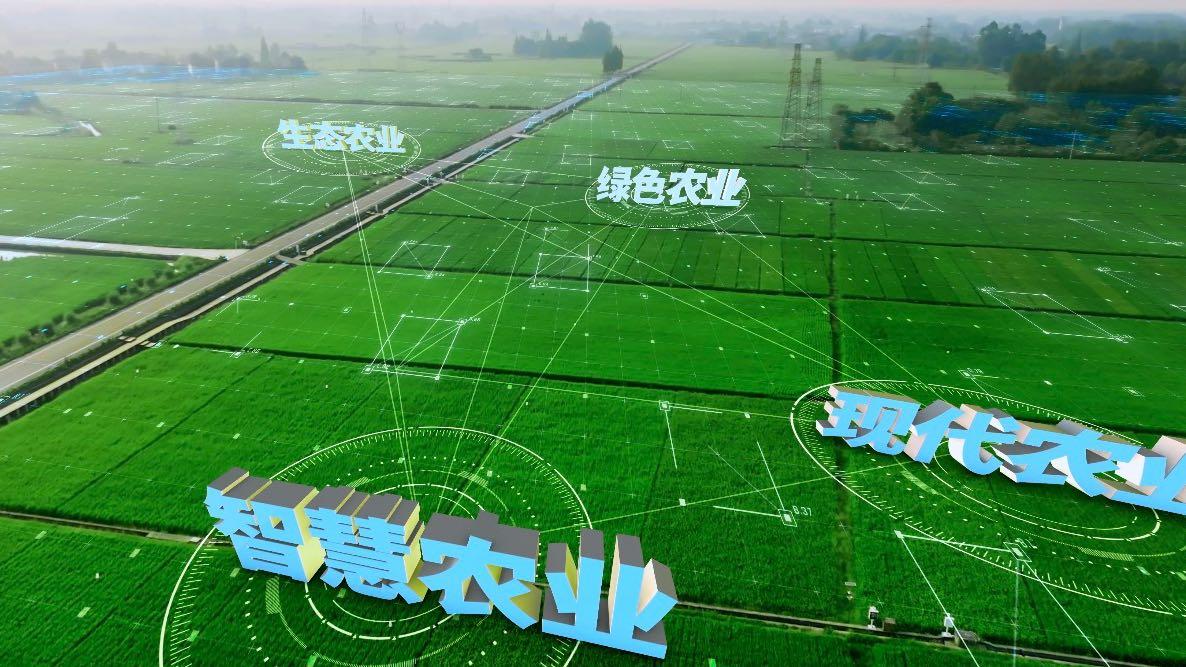 泾县现代农业“双碳”产业园 宣传片