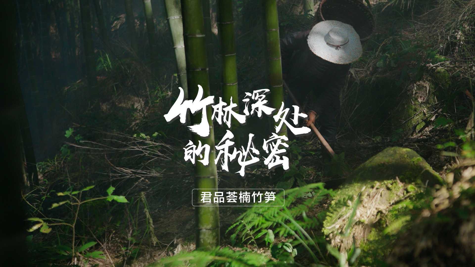 贵州赤水产品纪录片|竹林深处的秘密