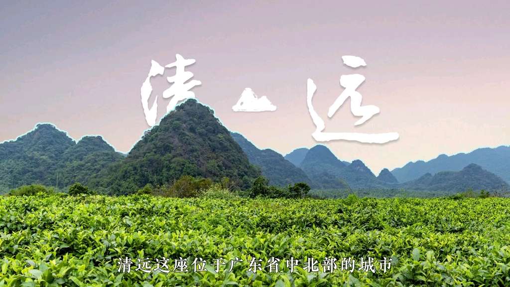 茶韵之乡——清远积庆里红茶谷