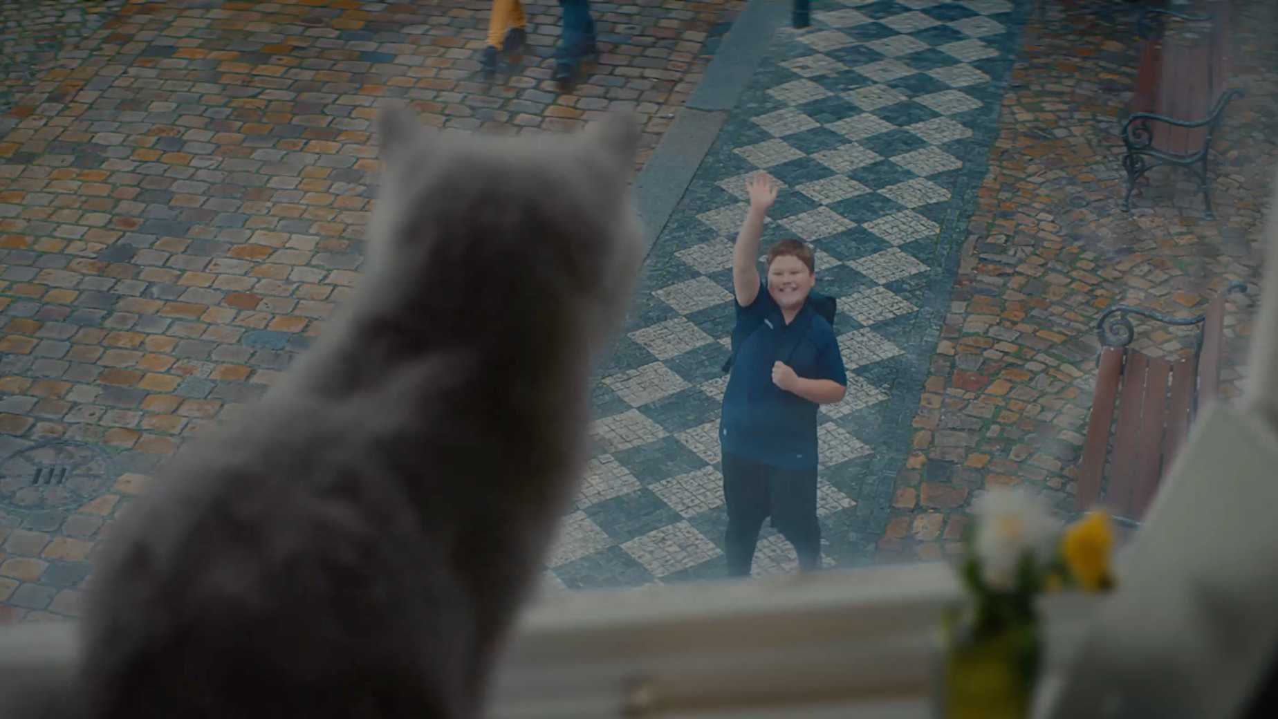 温馨治愈！日本建材品牌宣传片《一扇窗和猫的故事》