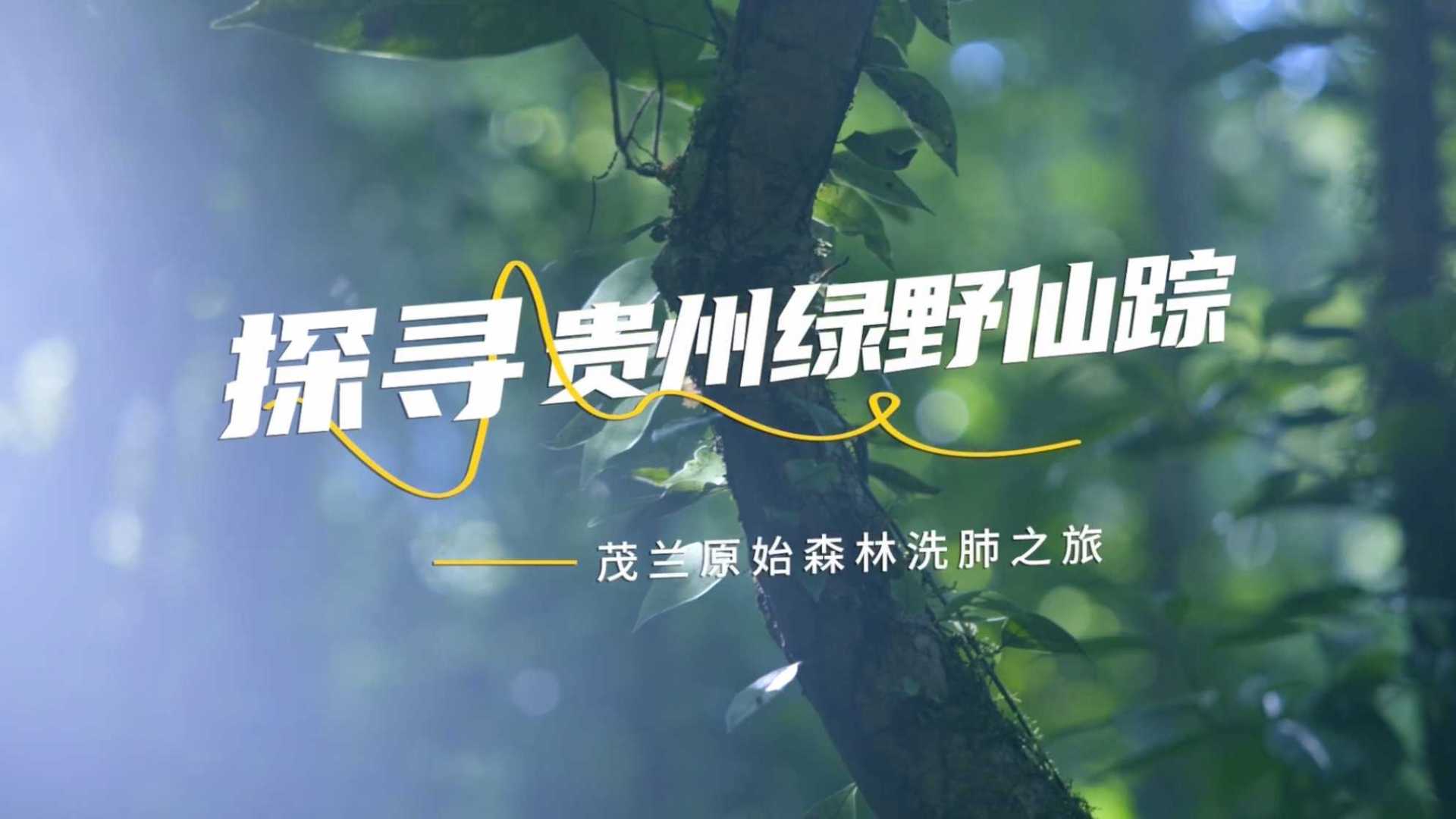 马蜂窝攻略短片《探寻贵州绿野仙踪》