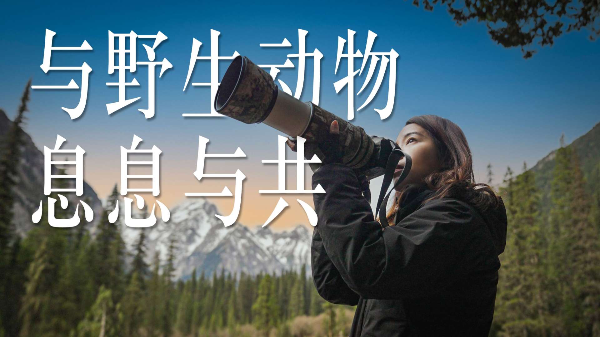 梅赛德斯奔驰星愿基金x 野生动物摄影师徐可意——2023绿迹感官之旅