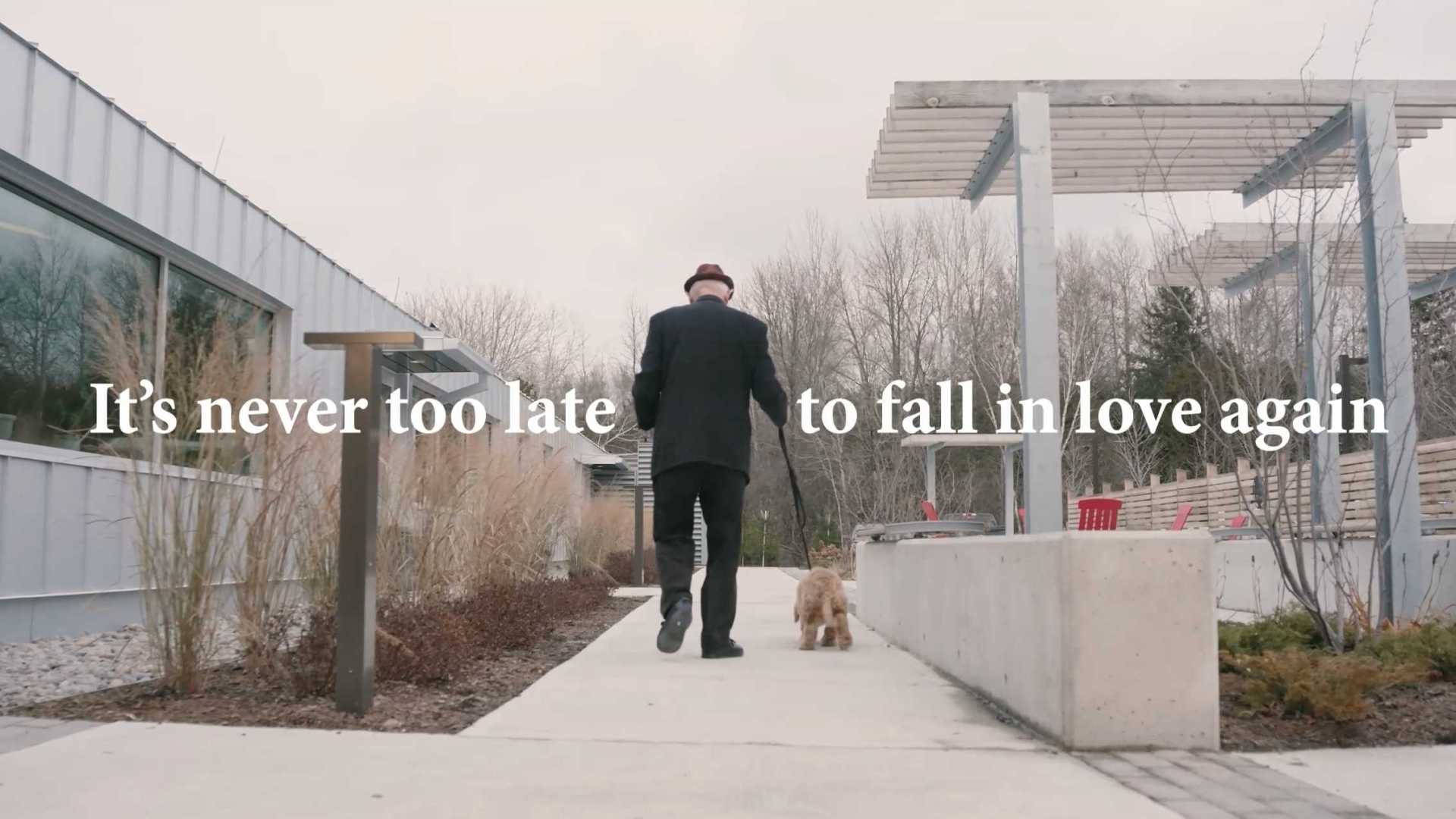 宠物领养假日情感广告《相爱永远不晚》