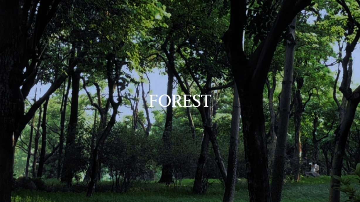 产品短视频 | 自然治愈 森系 暗调 陶瓷器物