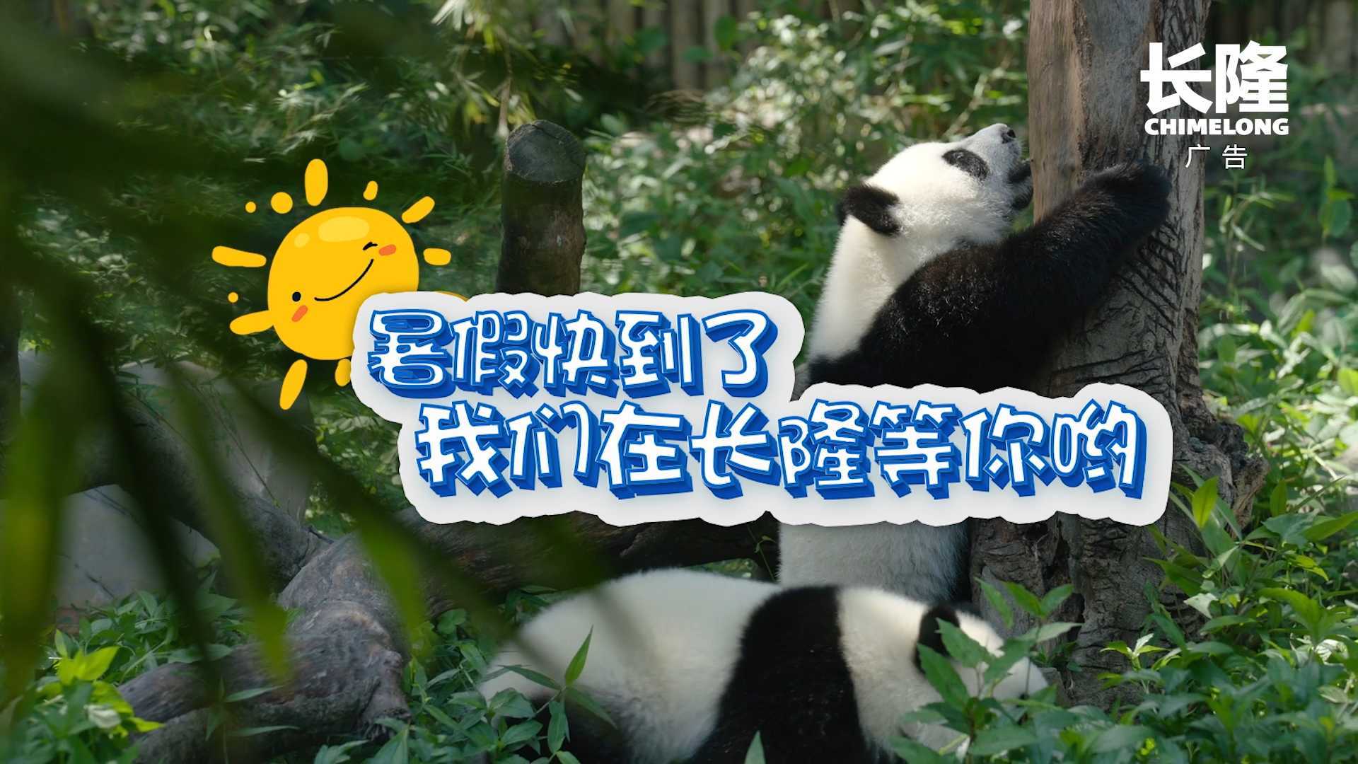 长隆少儿频道儿歌篇-熊猫