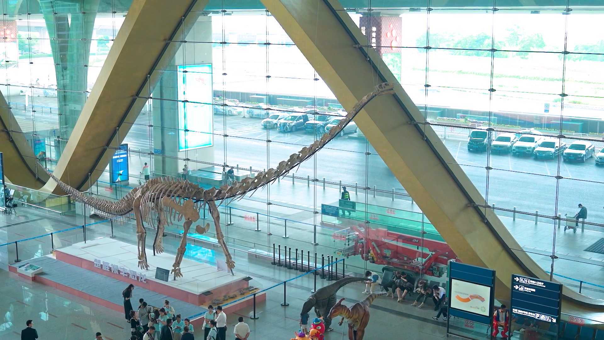 机场恐龙谷展示活动