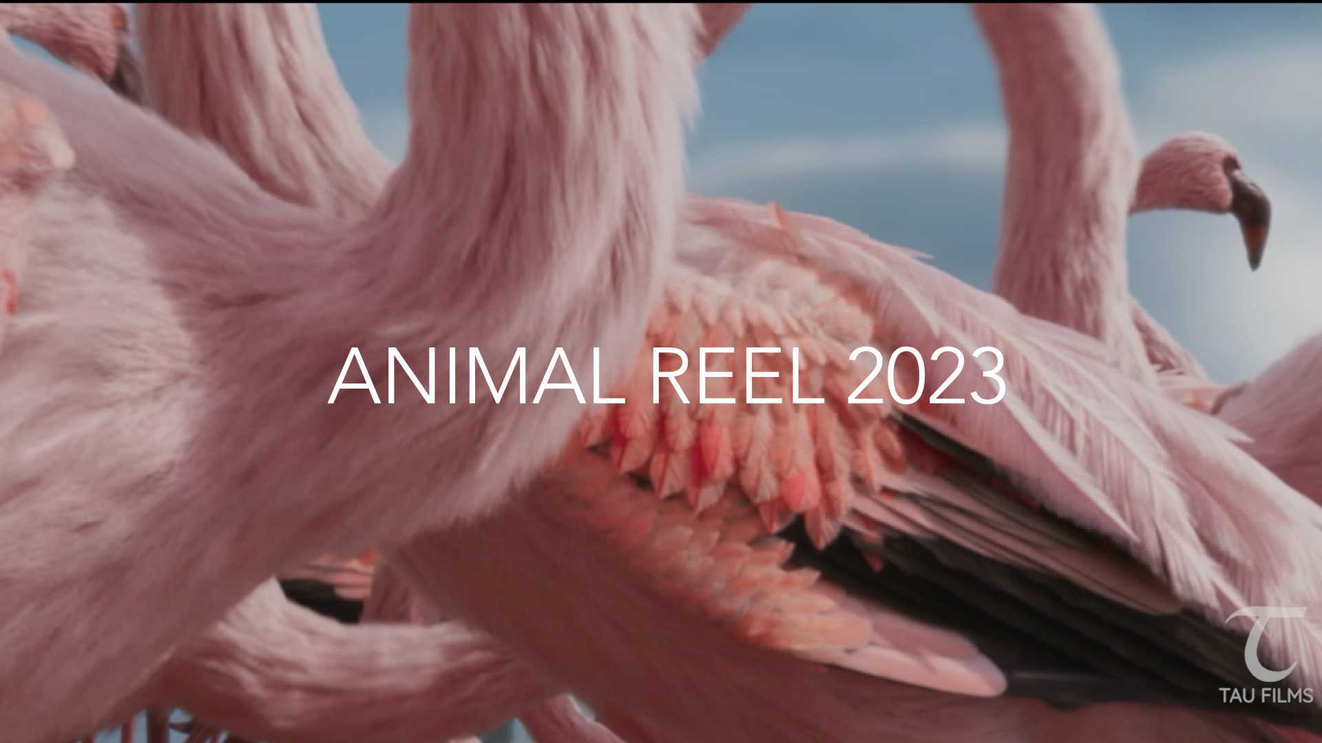 TAU Films CG动物作品集 2023