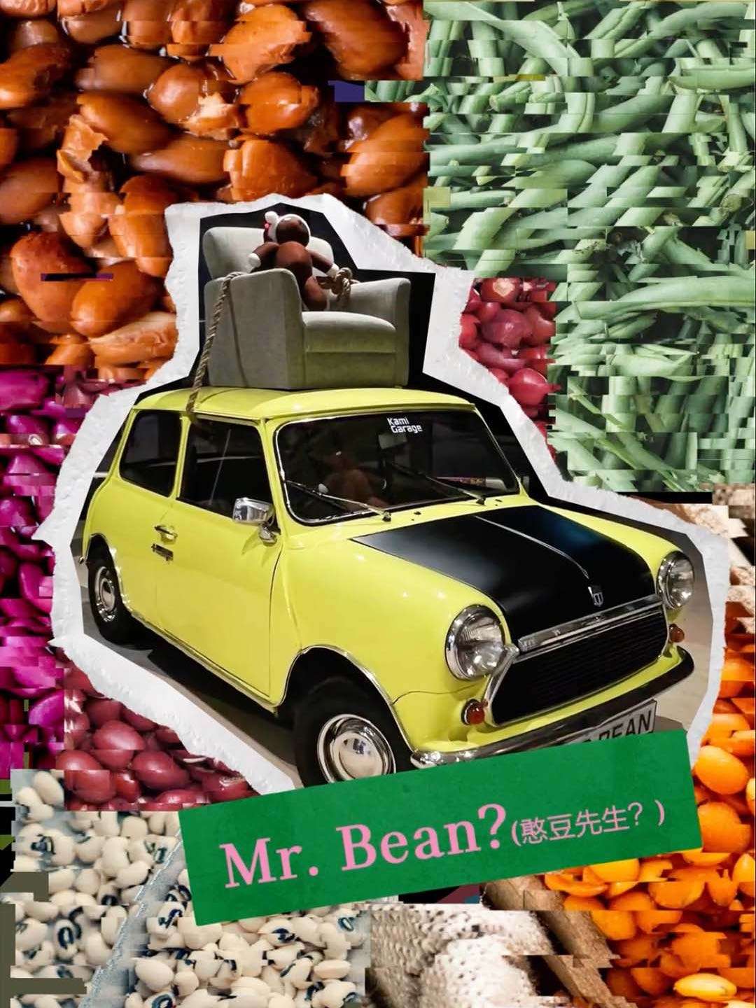 Mr.MINI 豆子，糖豆，相思豆，红豆，绿豆，四季豆......    击毙版