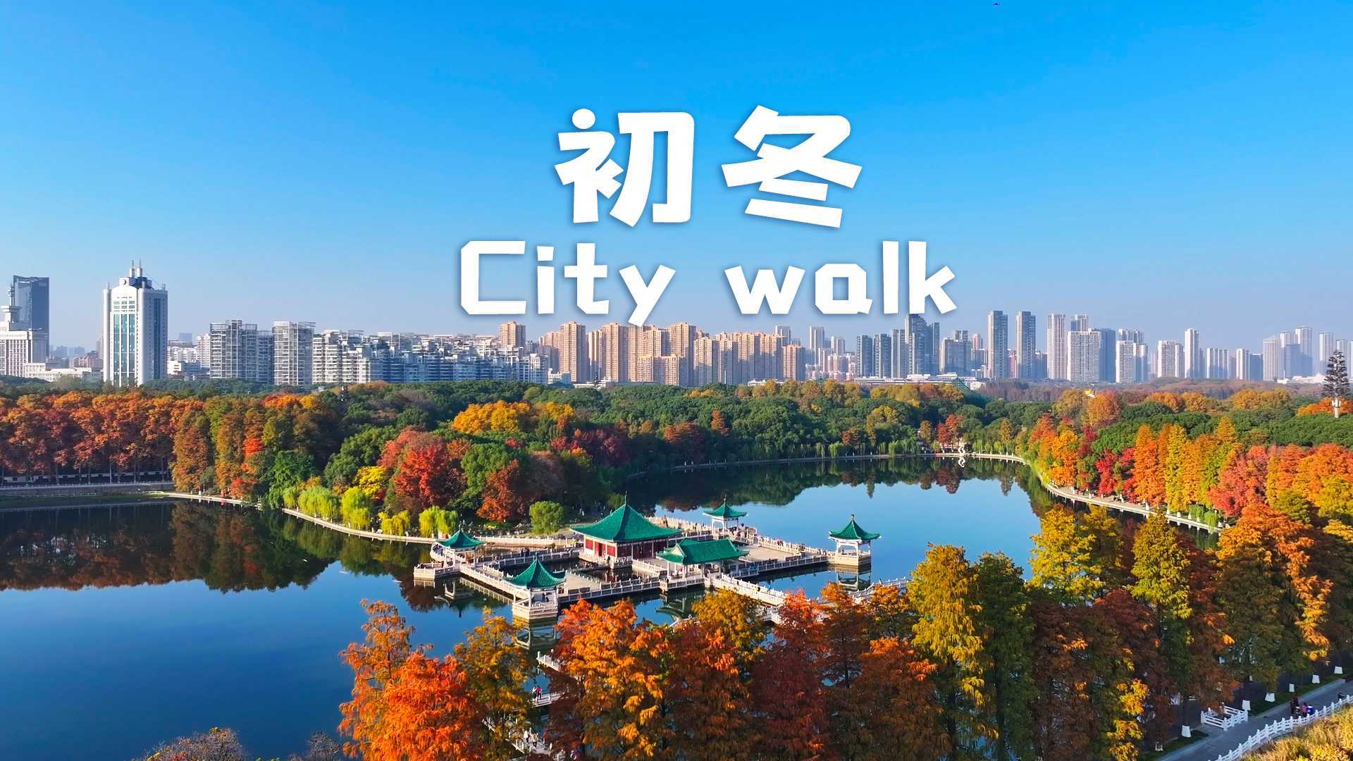 初冬 City walk