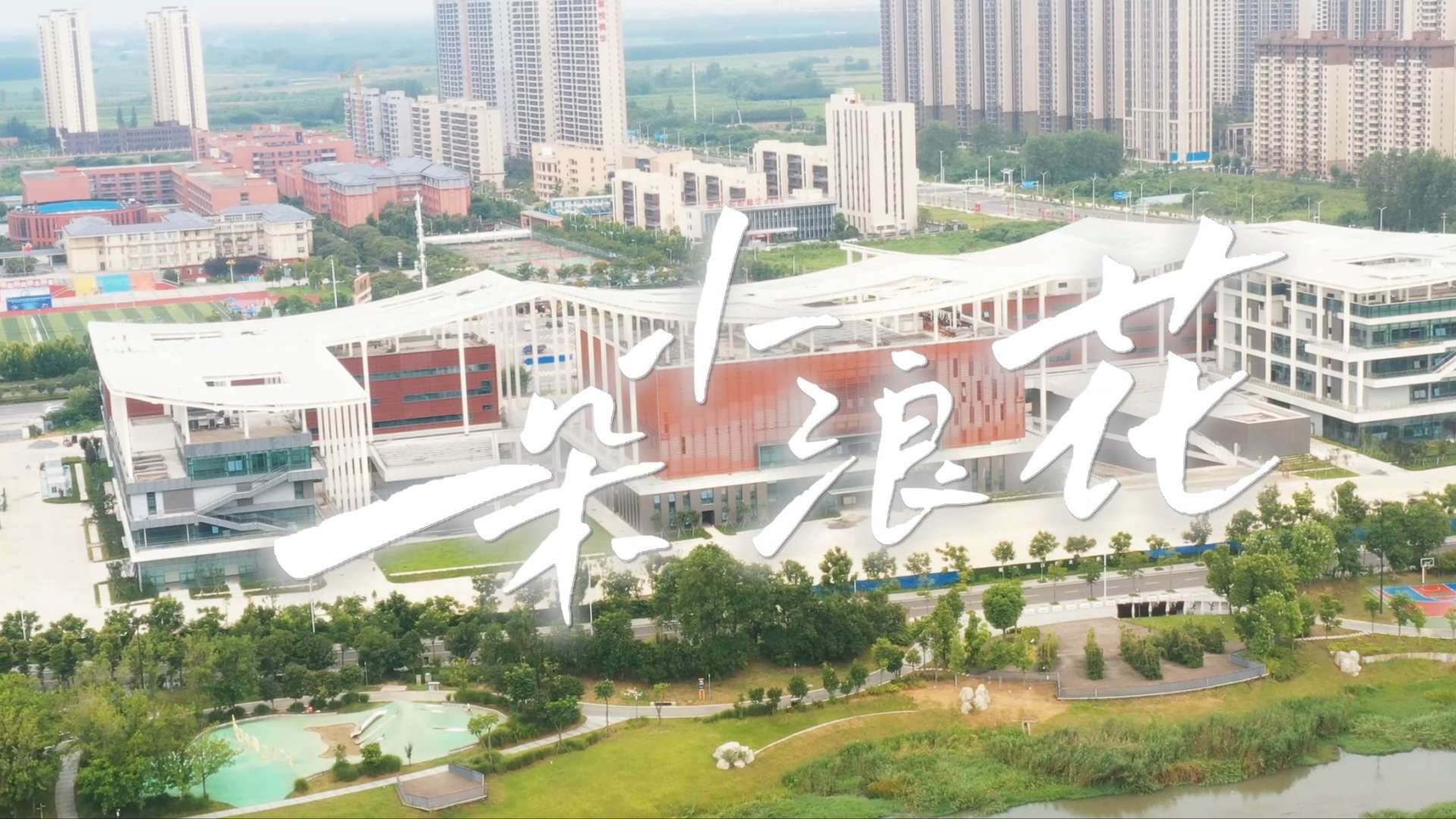 中国农业发展银行潜江市支行党建人物形象片《一朵小浪花》