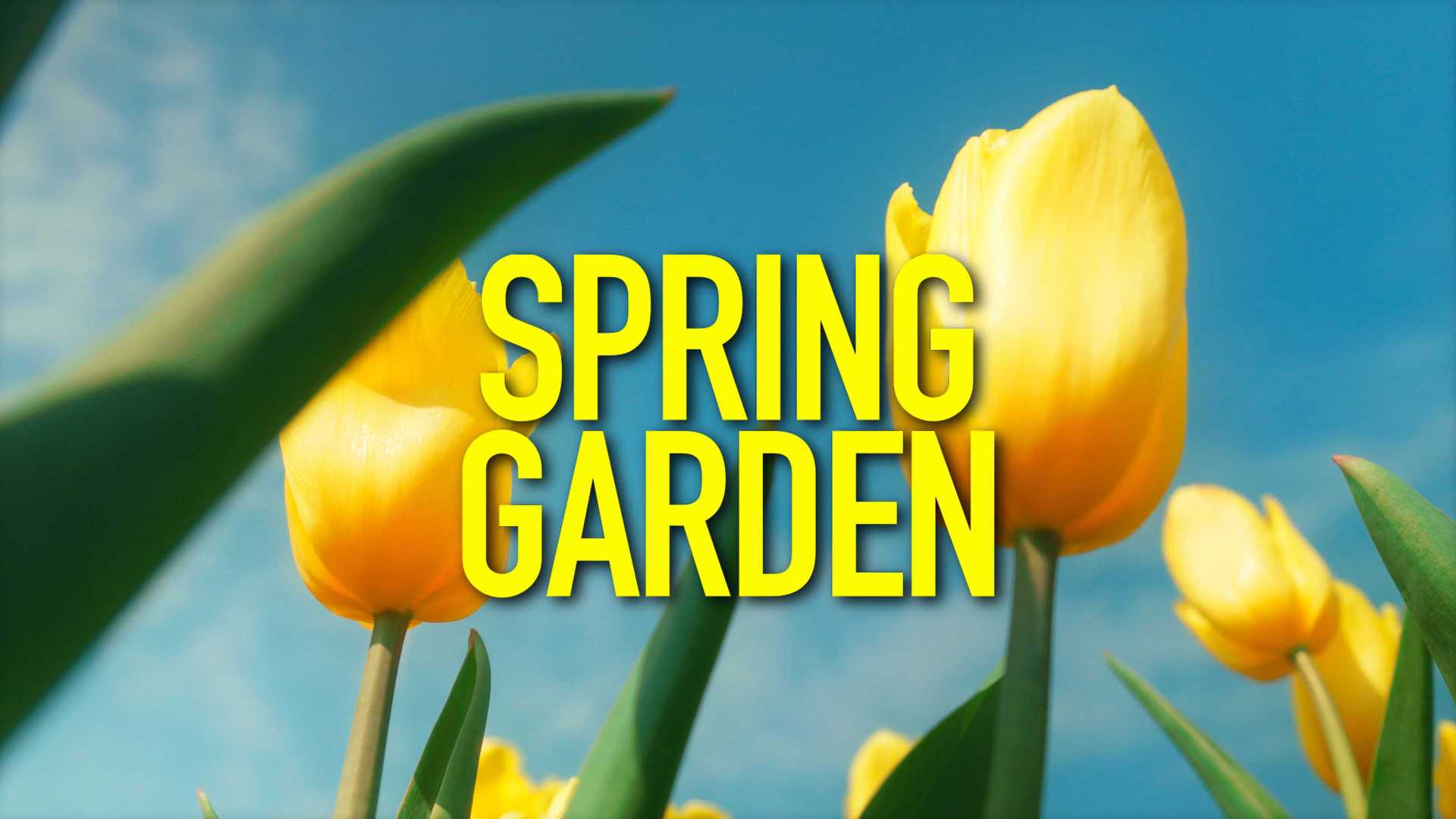 Spring Garden / 广州云台花园 复古文艺短片(4K)