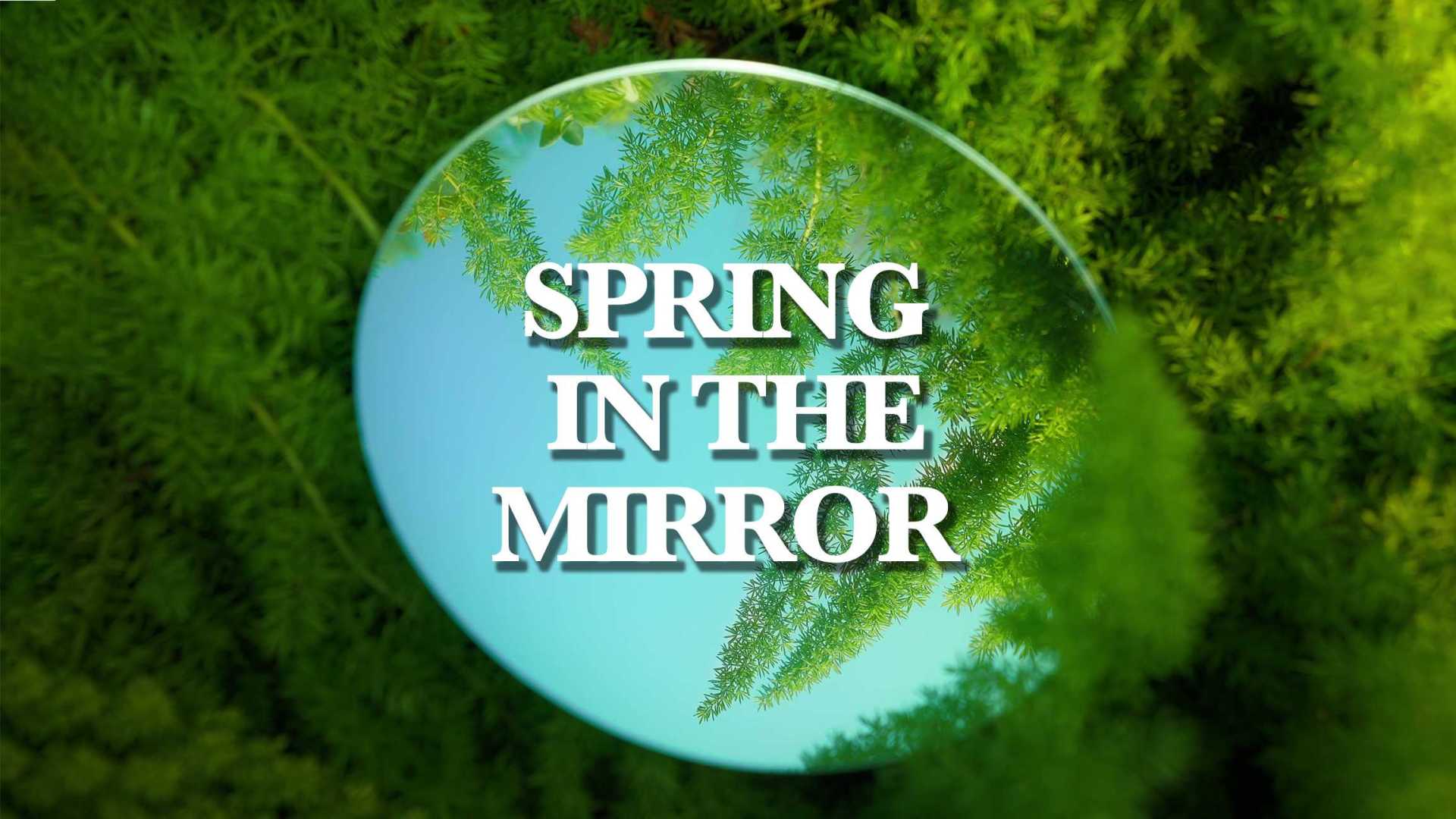 Spring in the Mirror / 鏡子里的春天 (4K)