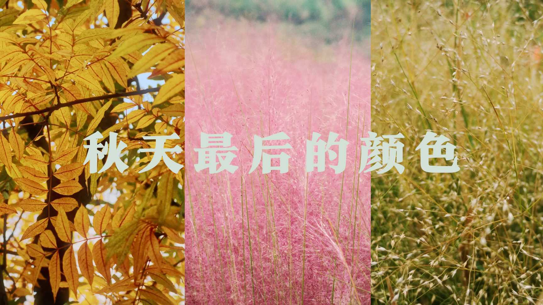 上渚山的秋天