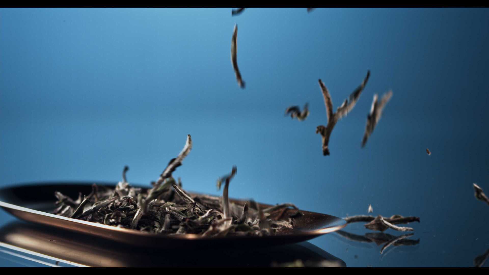 隆合茶业-牡丹王