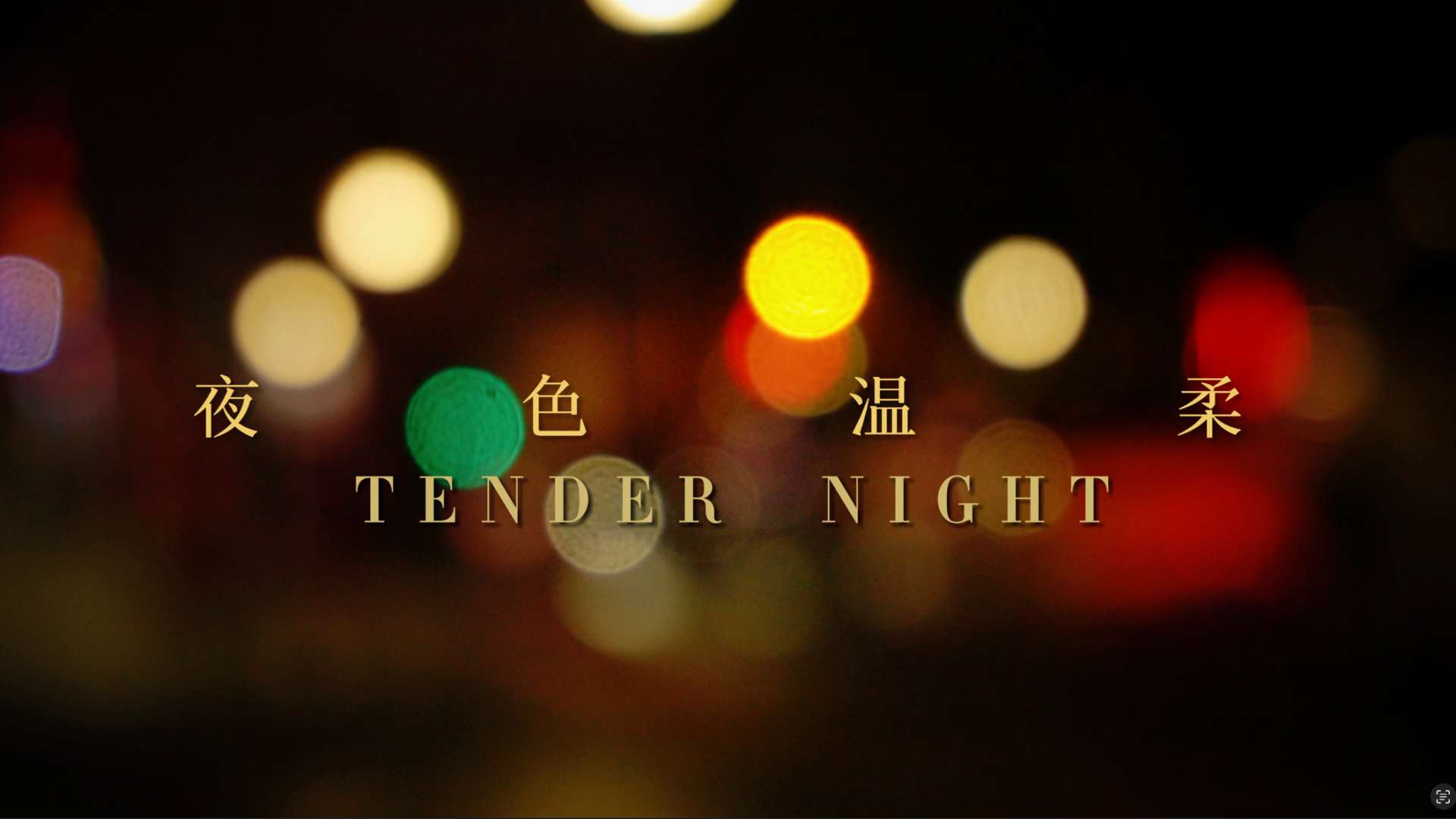 夜色温柔Tender Night