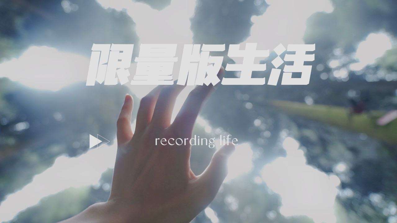 中坝森林旅拍vlog《限量版生活》