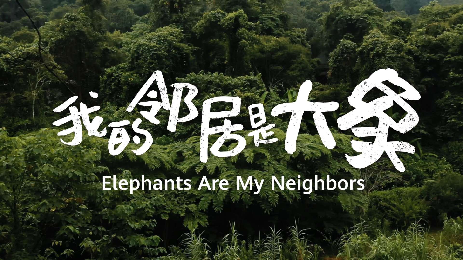 华为《我的邻居是大象》4分钟版