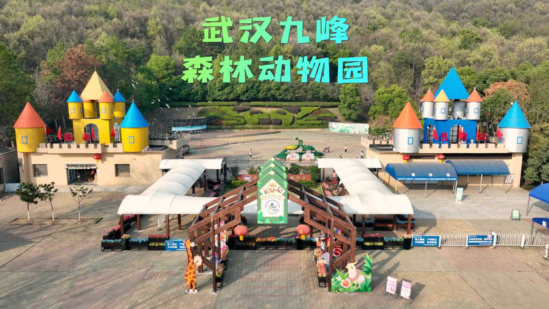 武汉九峰森林动物园有多好玩？一个视频给你全部答案！