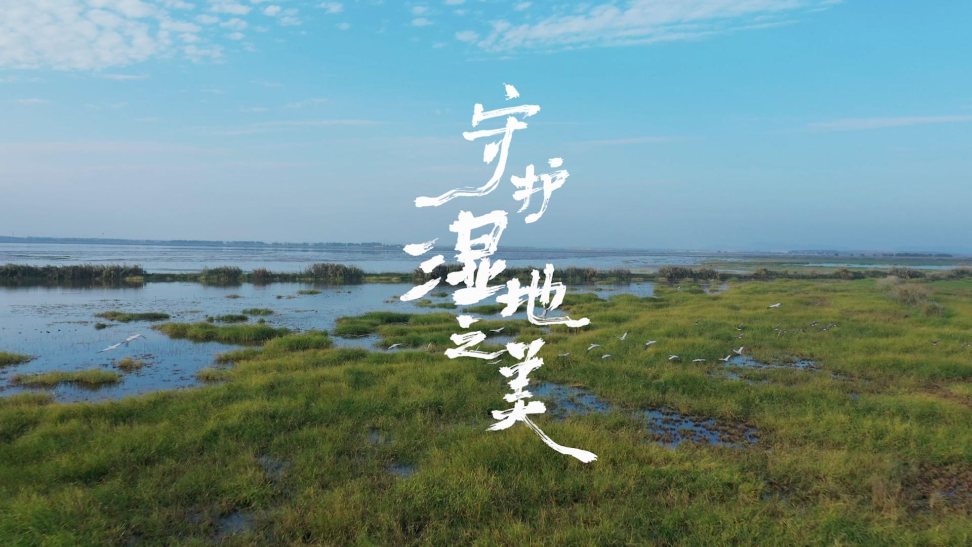 ELLE｜张天爱 吴宣仪：《守护湿地之美》