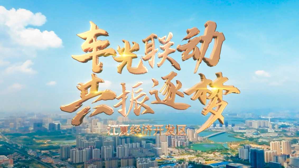 湖北 武汉 城市 文旅 营商 经济开发区招商宣传片
